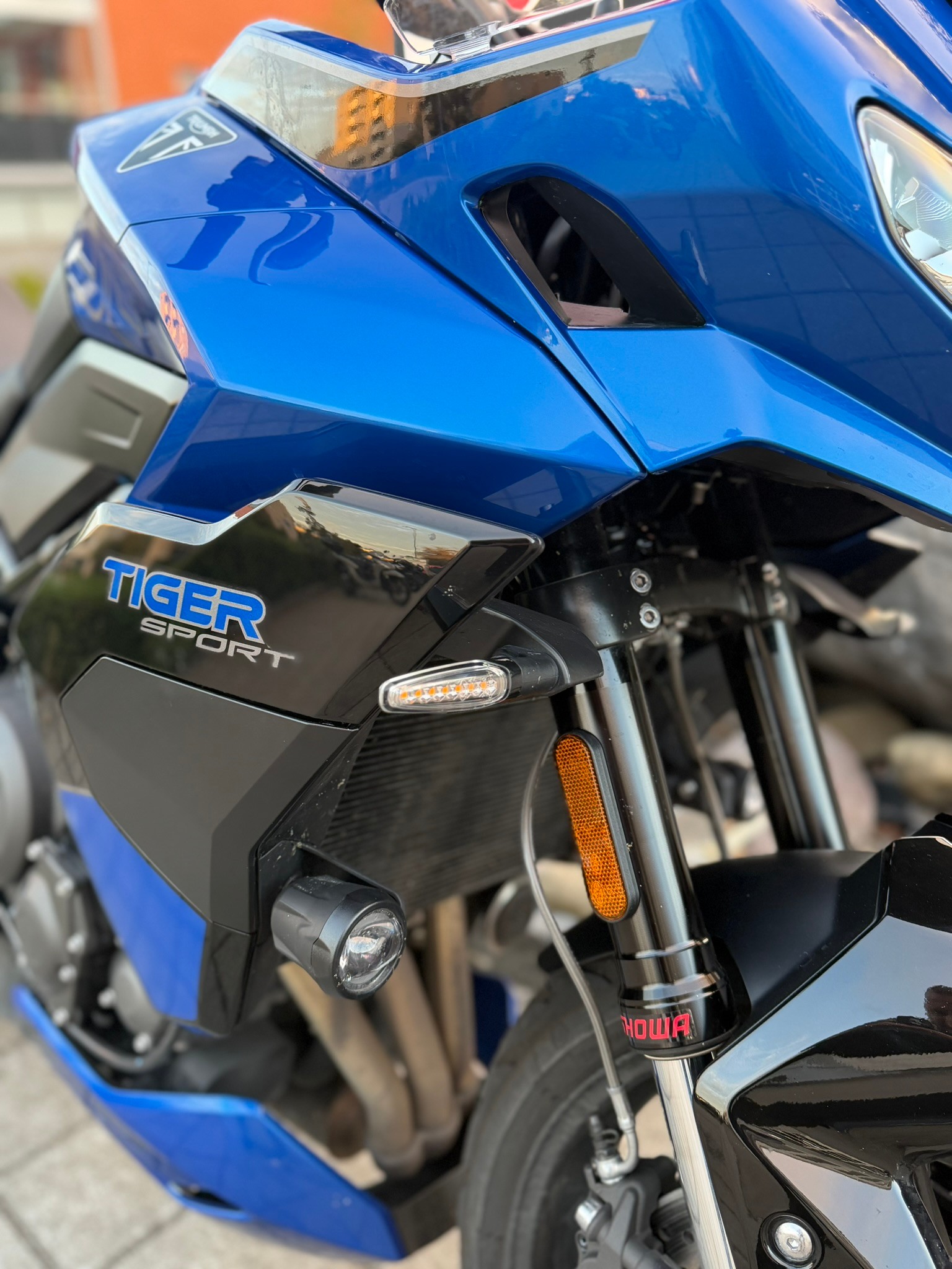 TRIUMPH Tiger Sport 800-image-8