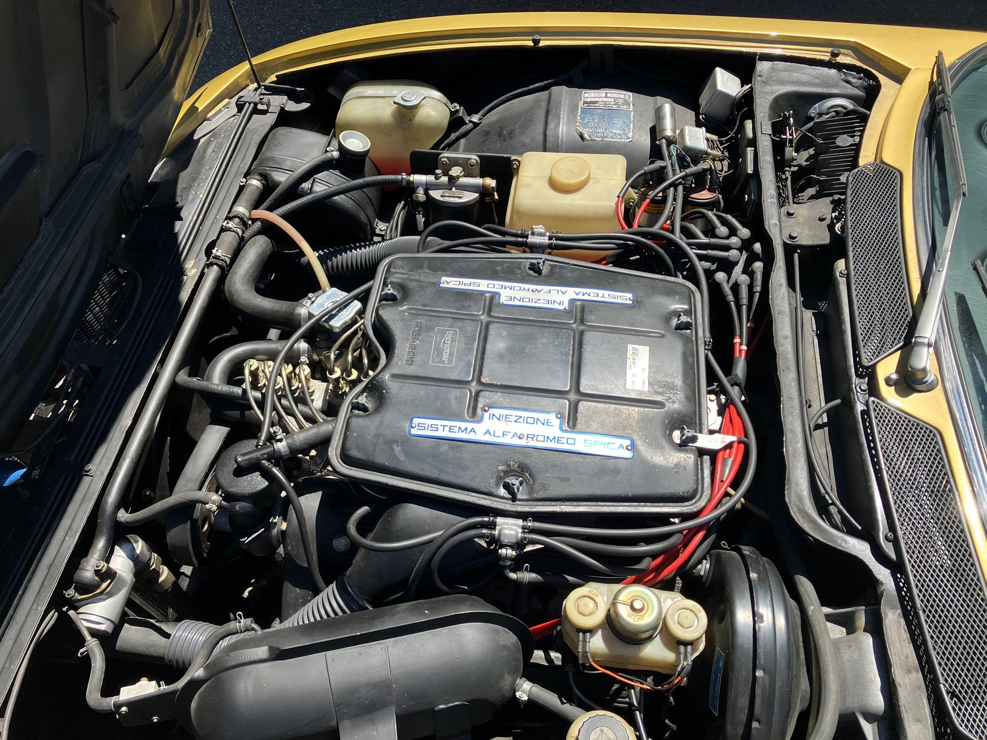 ALFA ROMEO MONTREAL-image-6