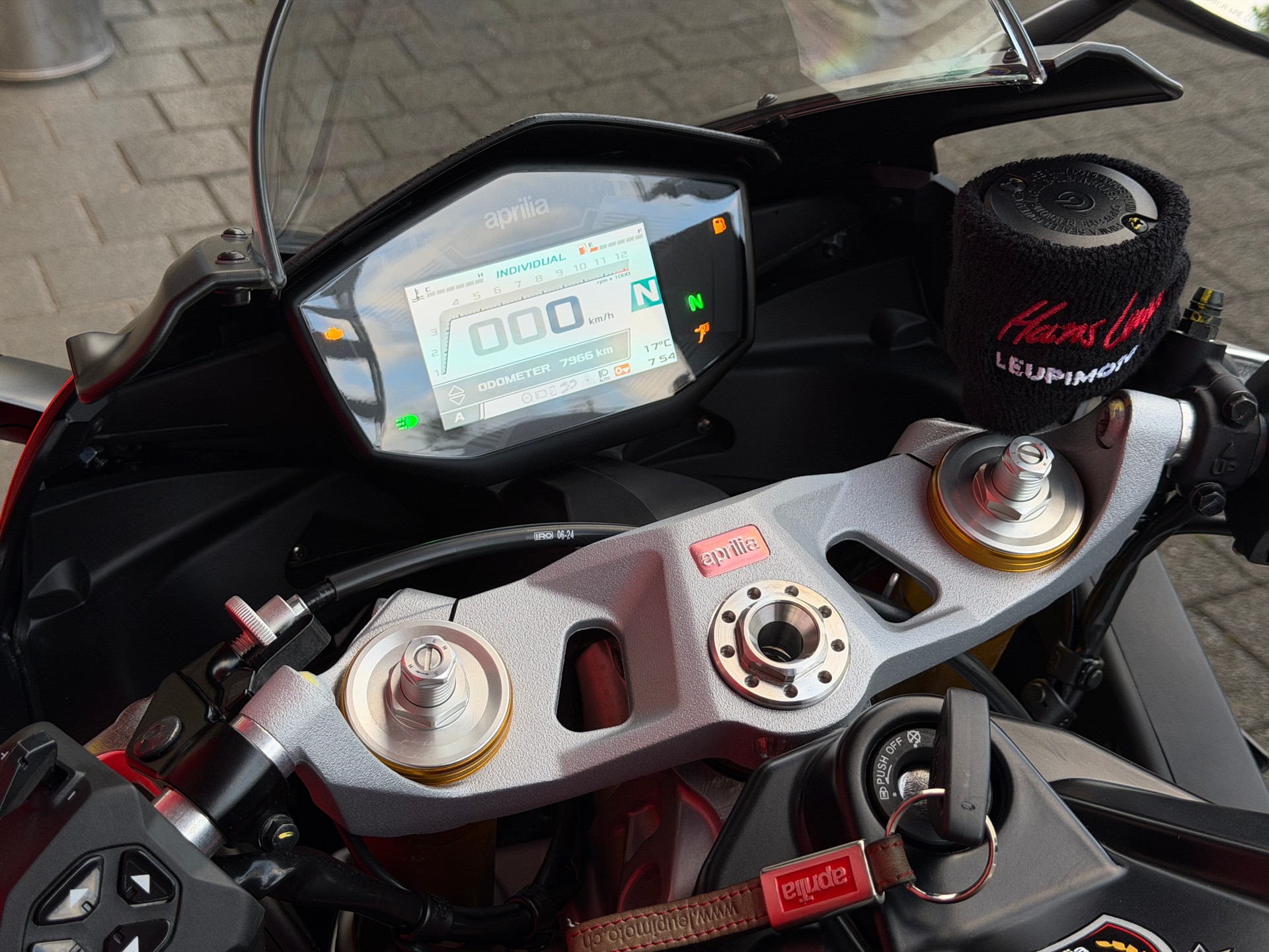APRILIA RS 660 GP REPLICA (100PS)-image-7