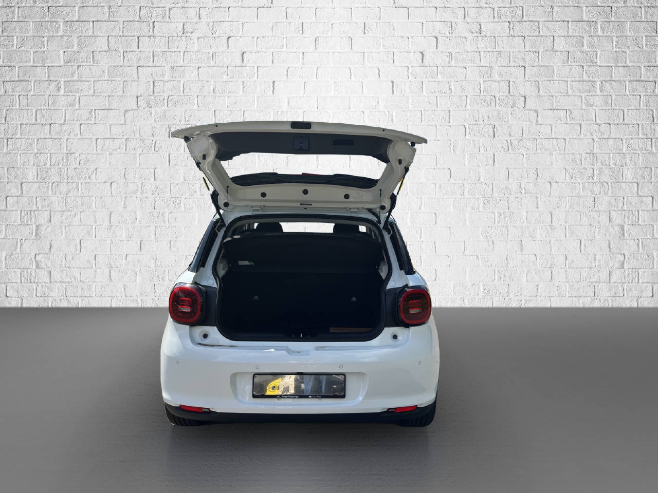JAC E30X Electric-image-11