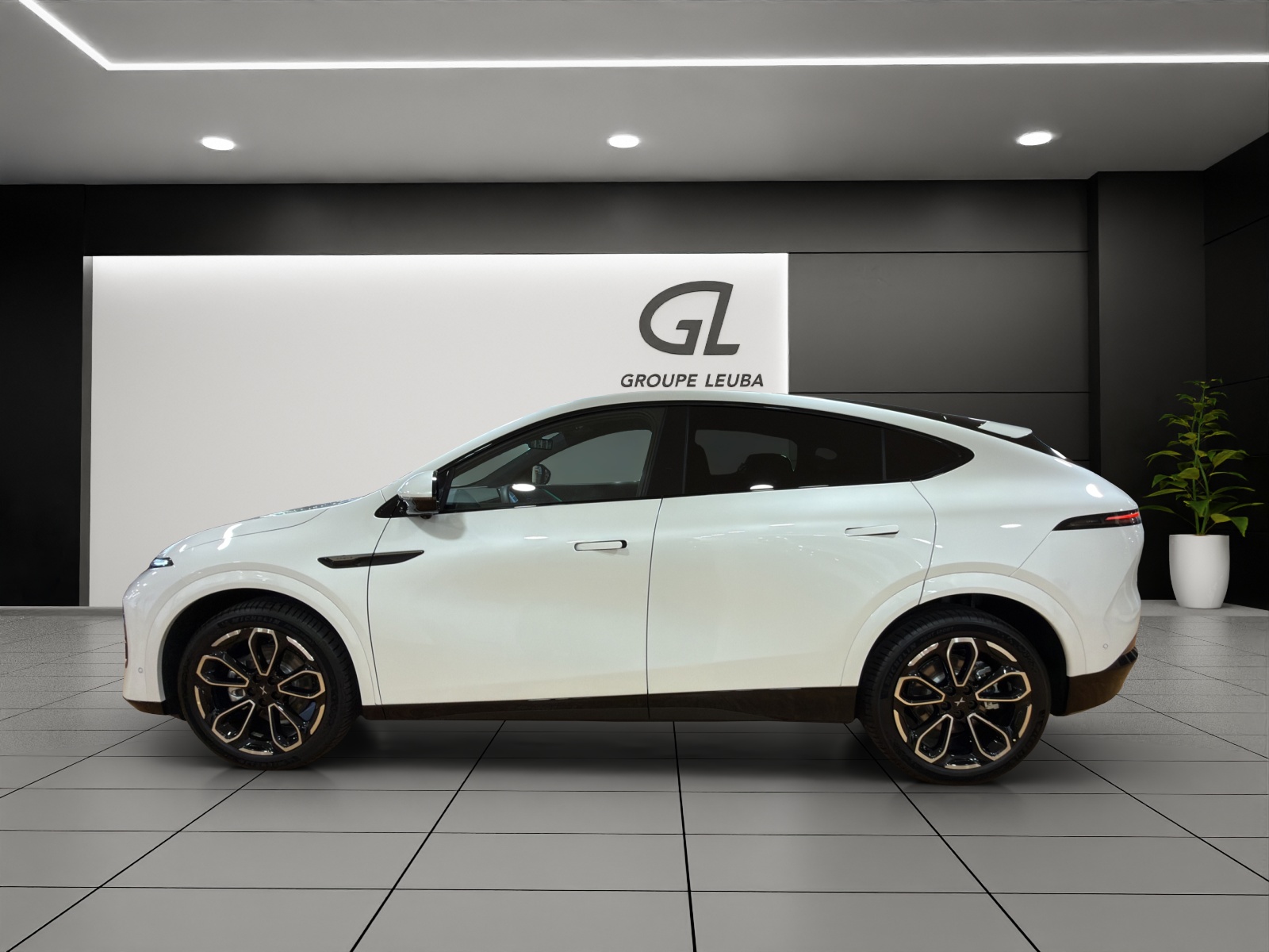 XPENG G6 80kWh Performance AWD-showroom-element-3