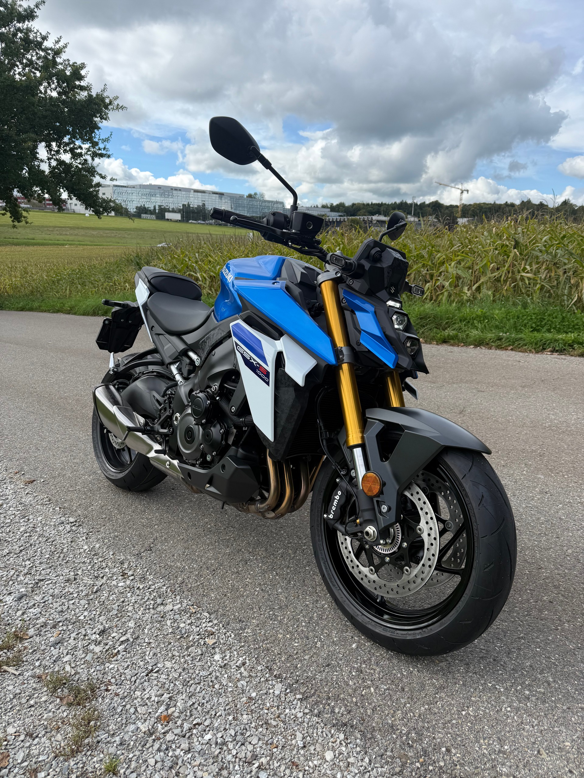 SUZUKI GSX-S 1000-image-3