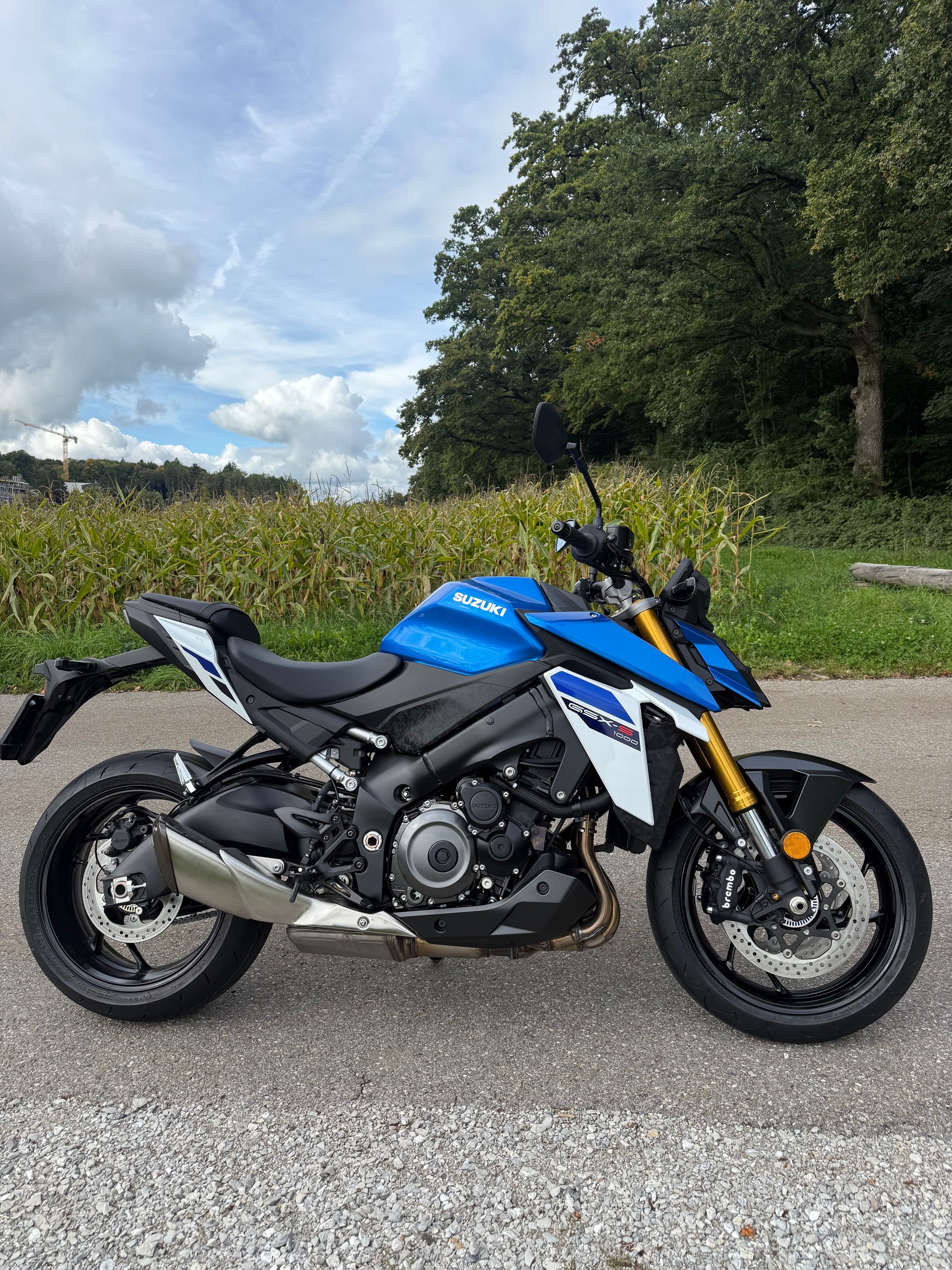 SUZUKI GSX-S 1000-image-2