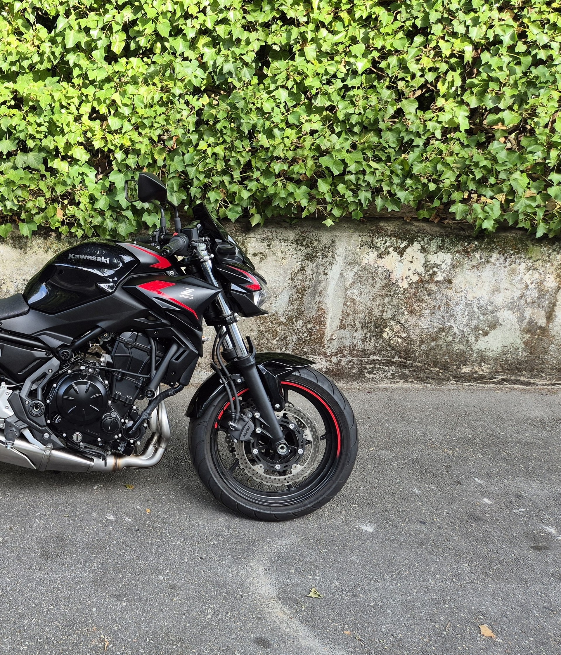 KAWASAKI Z 650 (35kW)-image-11