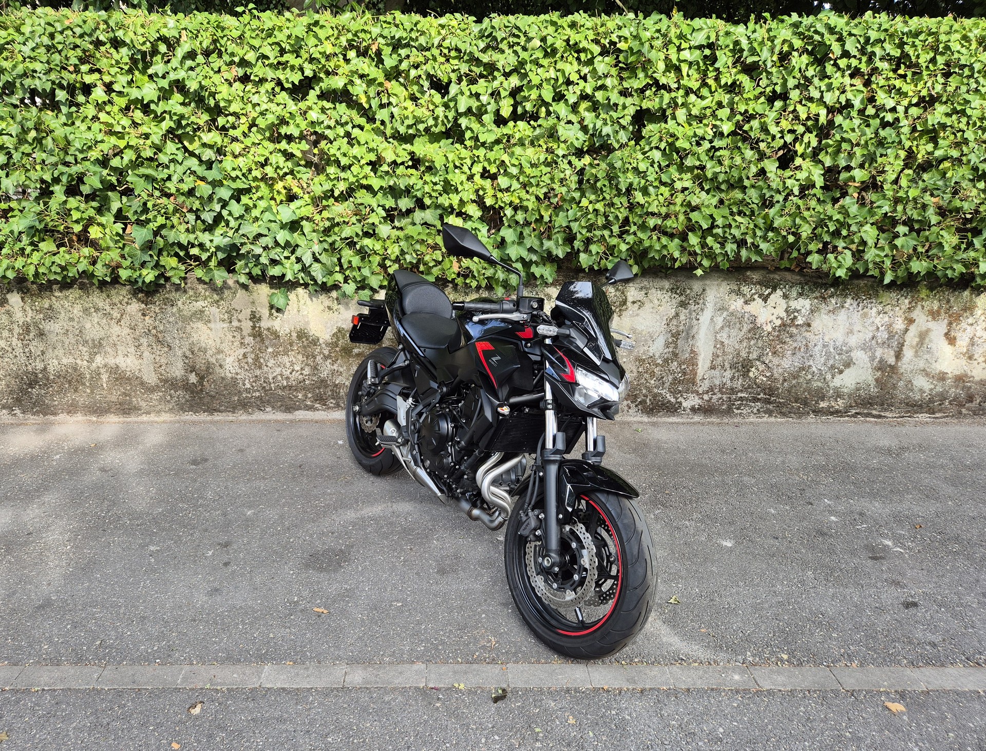 KAWASAKI Z 650 (35kW)-image-5