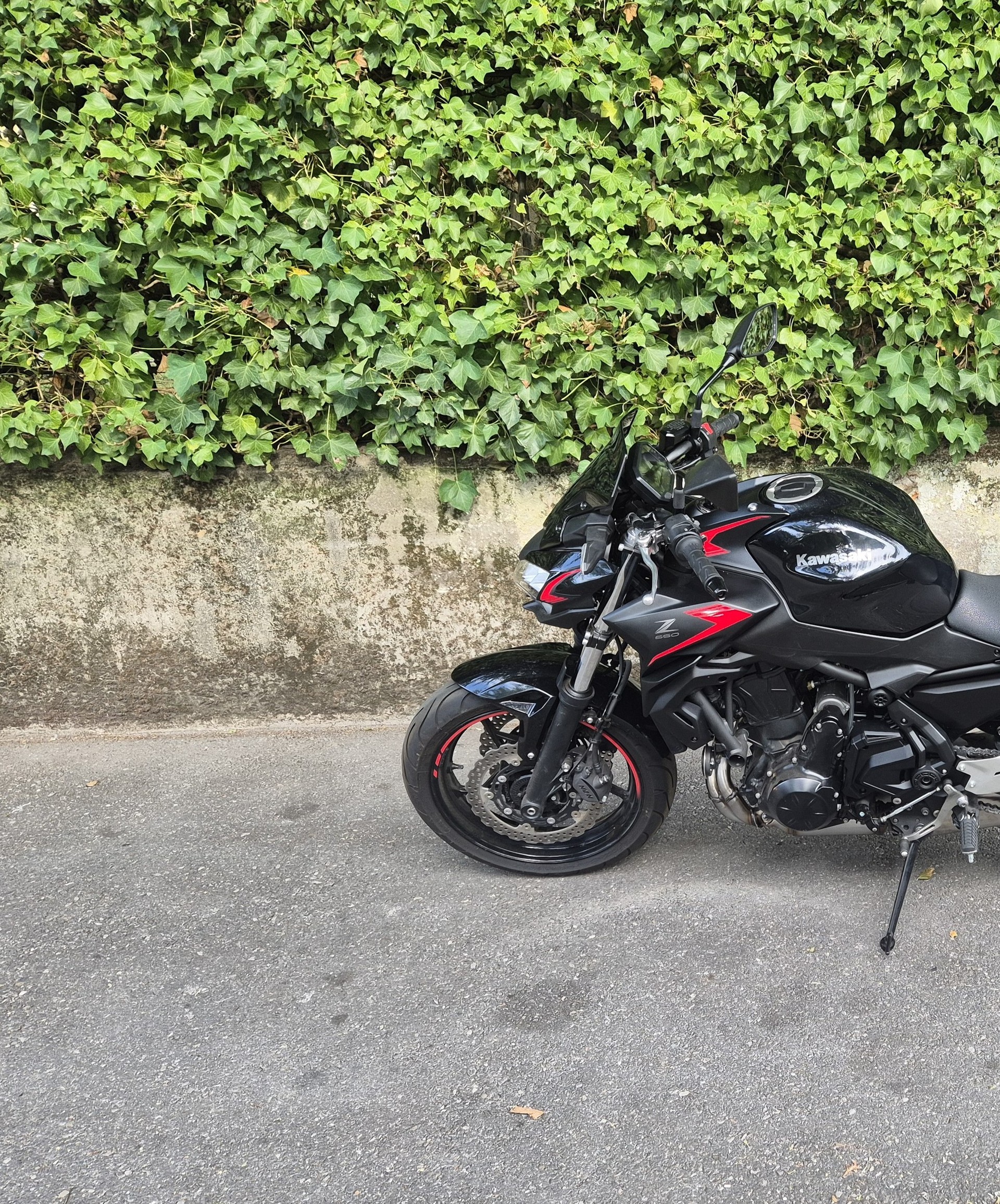 KAWASAKI Z 650 (35kW)-image-9