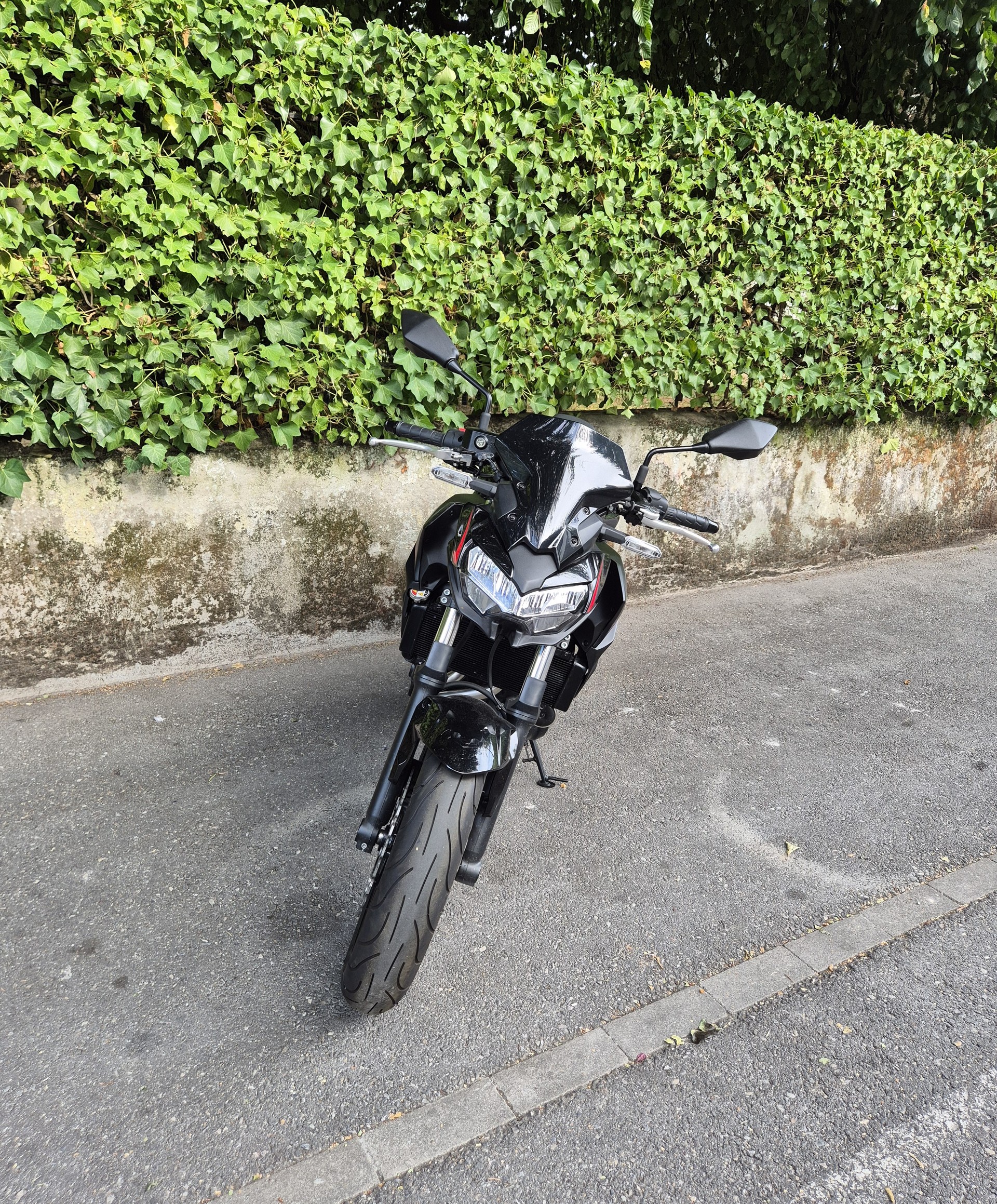 KAWASAKI Z 650 (35kW)-image-6