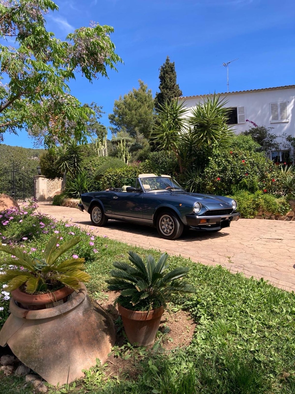 FIAT Spider 124 DS Europa 2.0 i.e.-image-11
