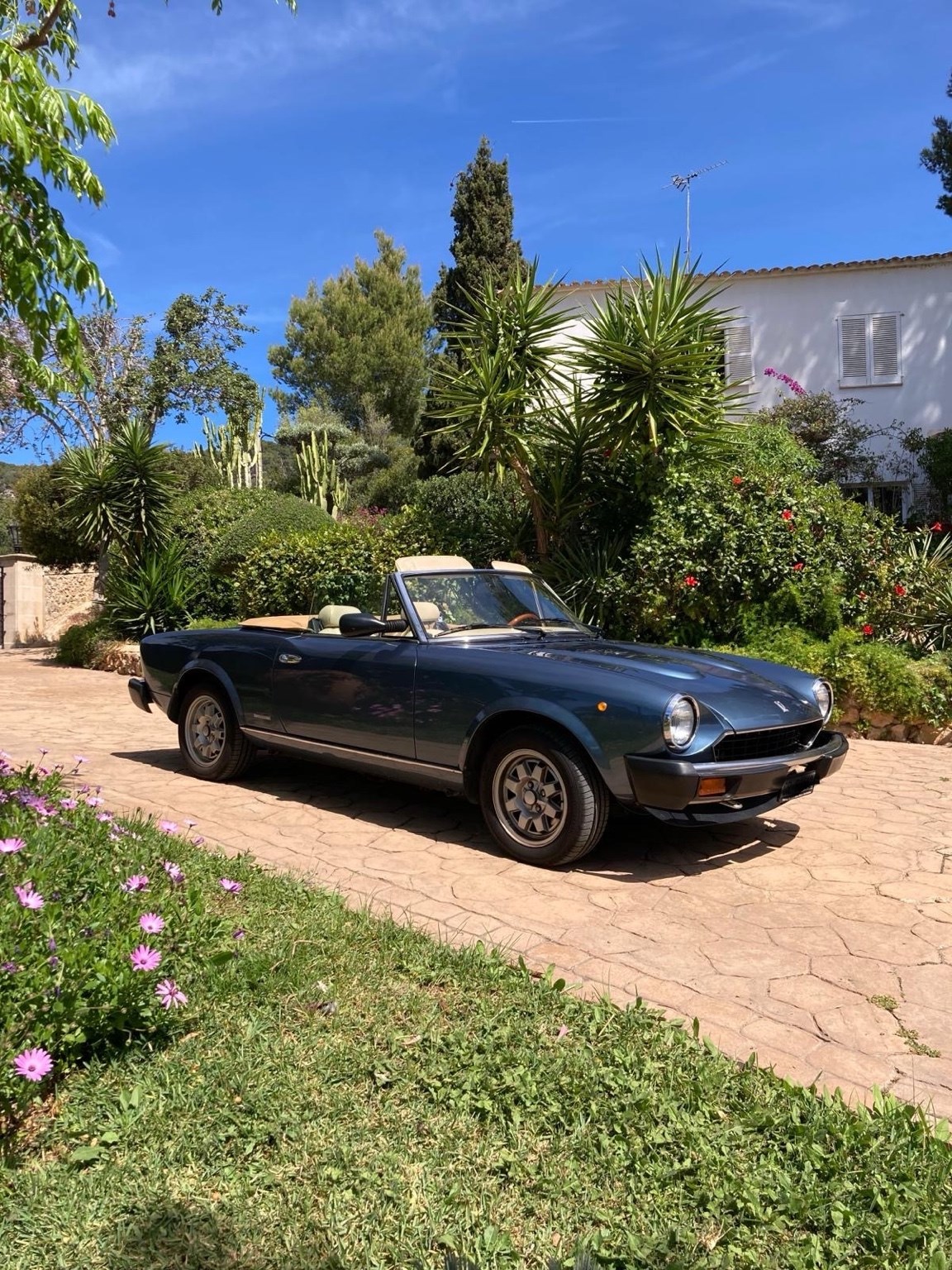 FIAT Spider 124 DS Europa 2.0 i.e.-image-12