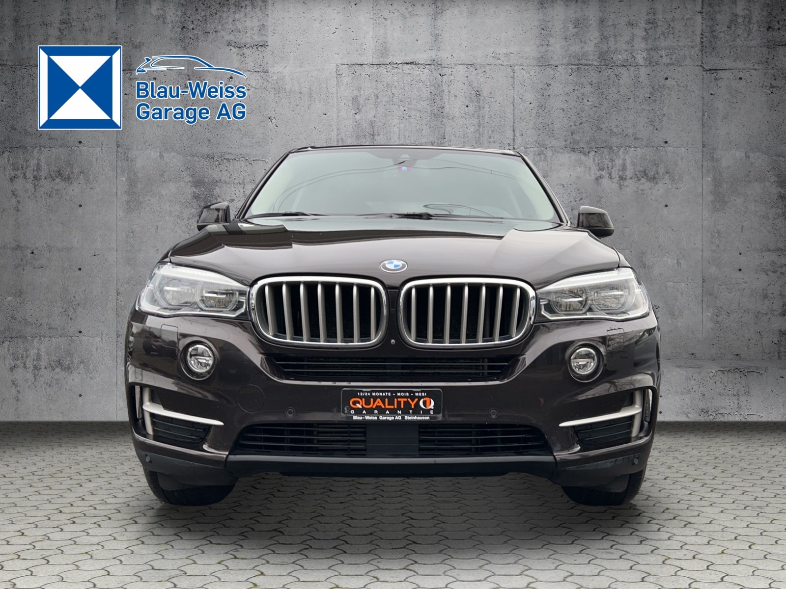 BMW X5 xDrive 40d Steptronic-showroom-element-1