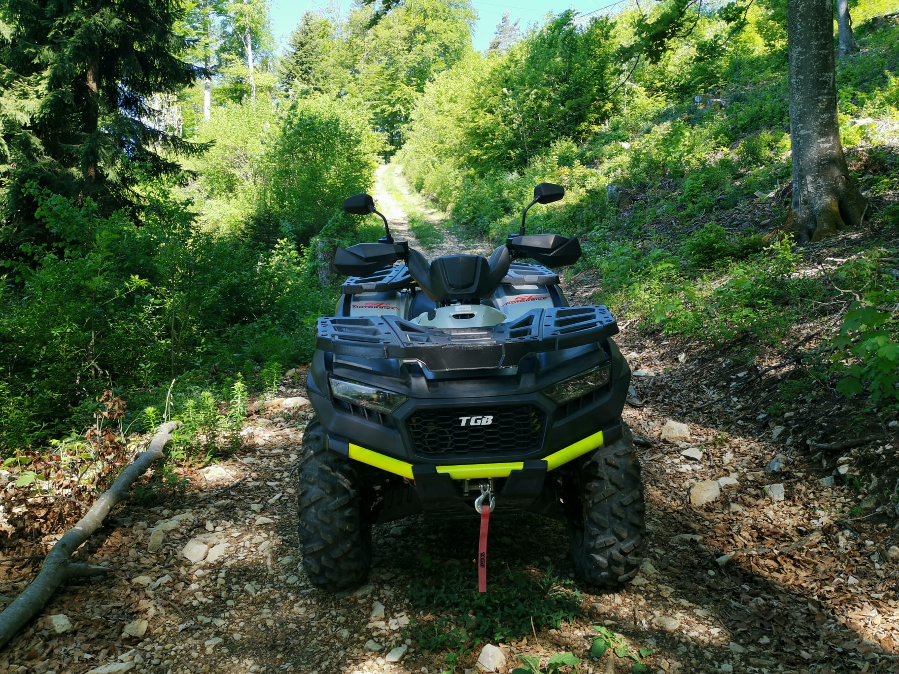 TGB Blade ATV 600 FL SE EPS 4x4-image-2