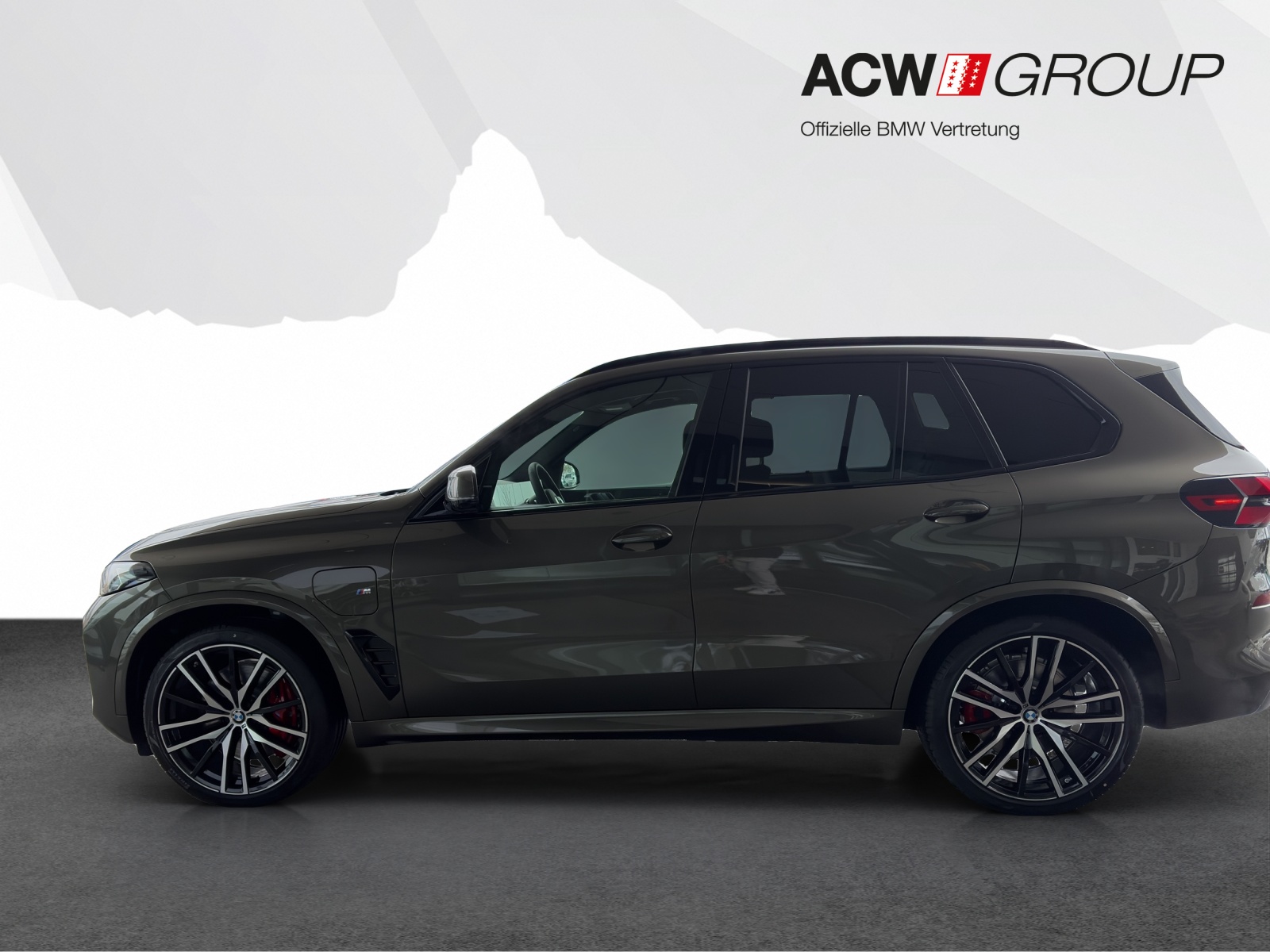 BMW X5 50e xDrive-showroom-element-1
