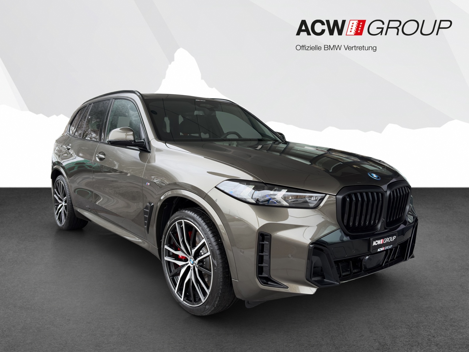 BMW X5 50e xDrive-image-6