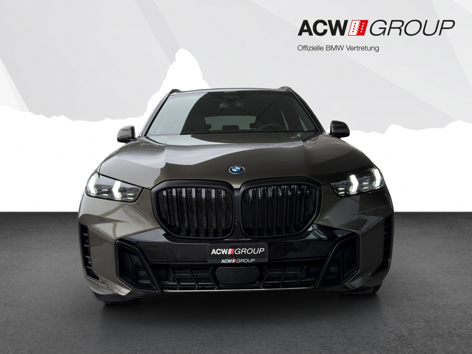 BMW X5 50e xDrive-image-7