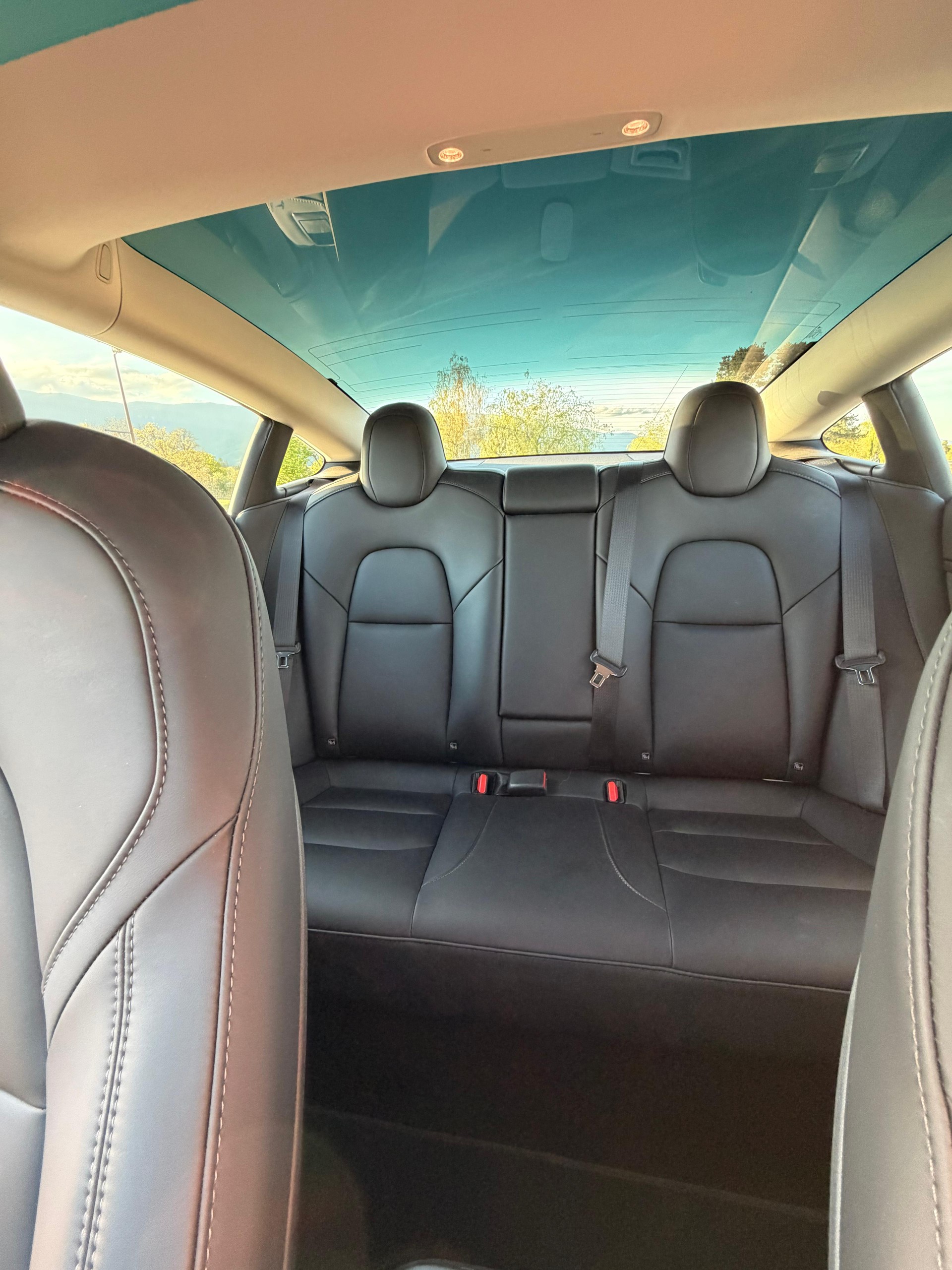TESLA Model 3 Long Range Dual Motor AWD-image-14