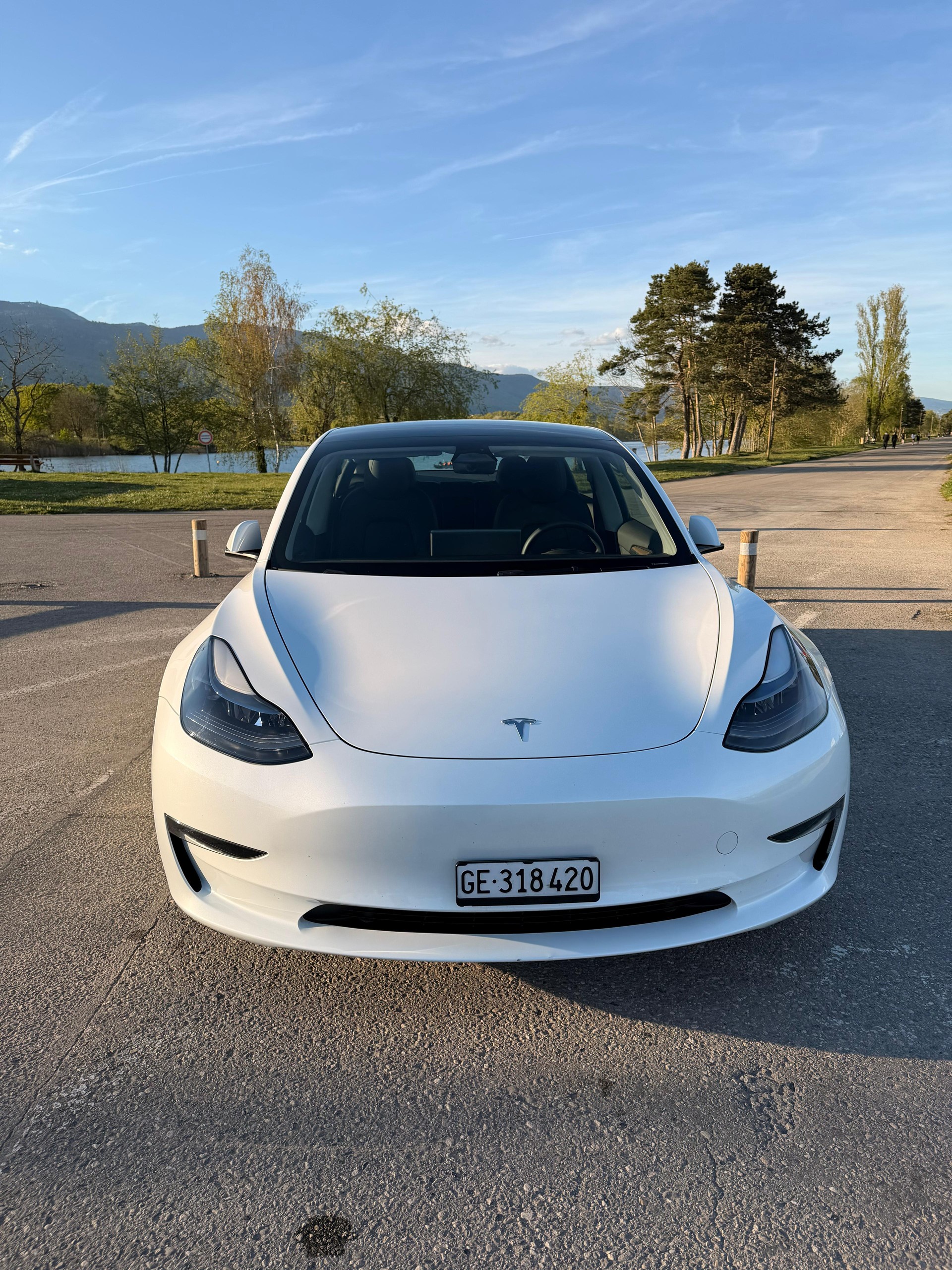 TESLA Model 3 Long Range Dual Motor AWD-image-6