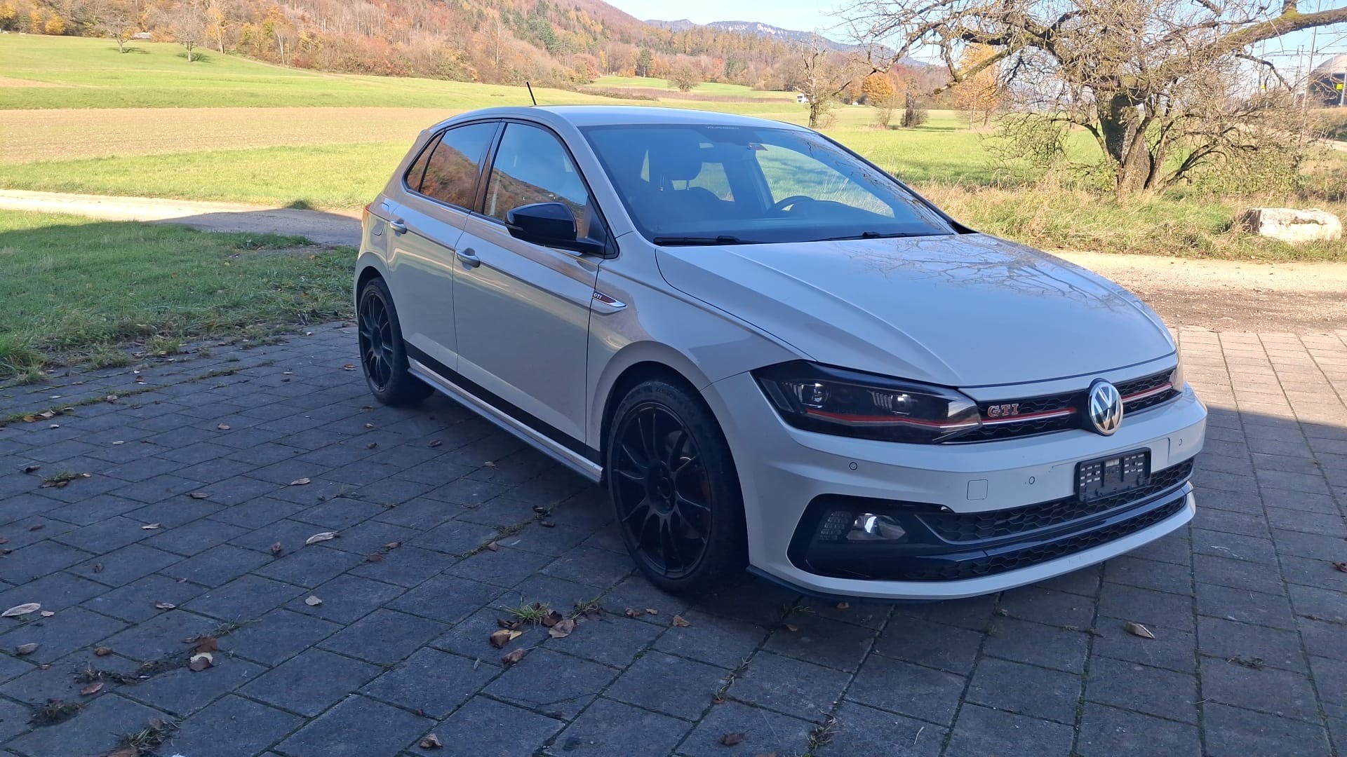 VW Polo 2.0 TSI GTI DSG-image-5