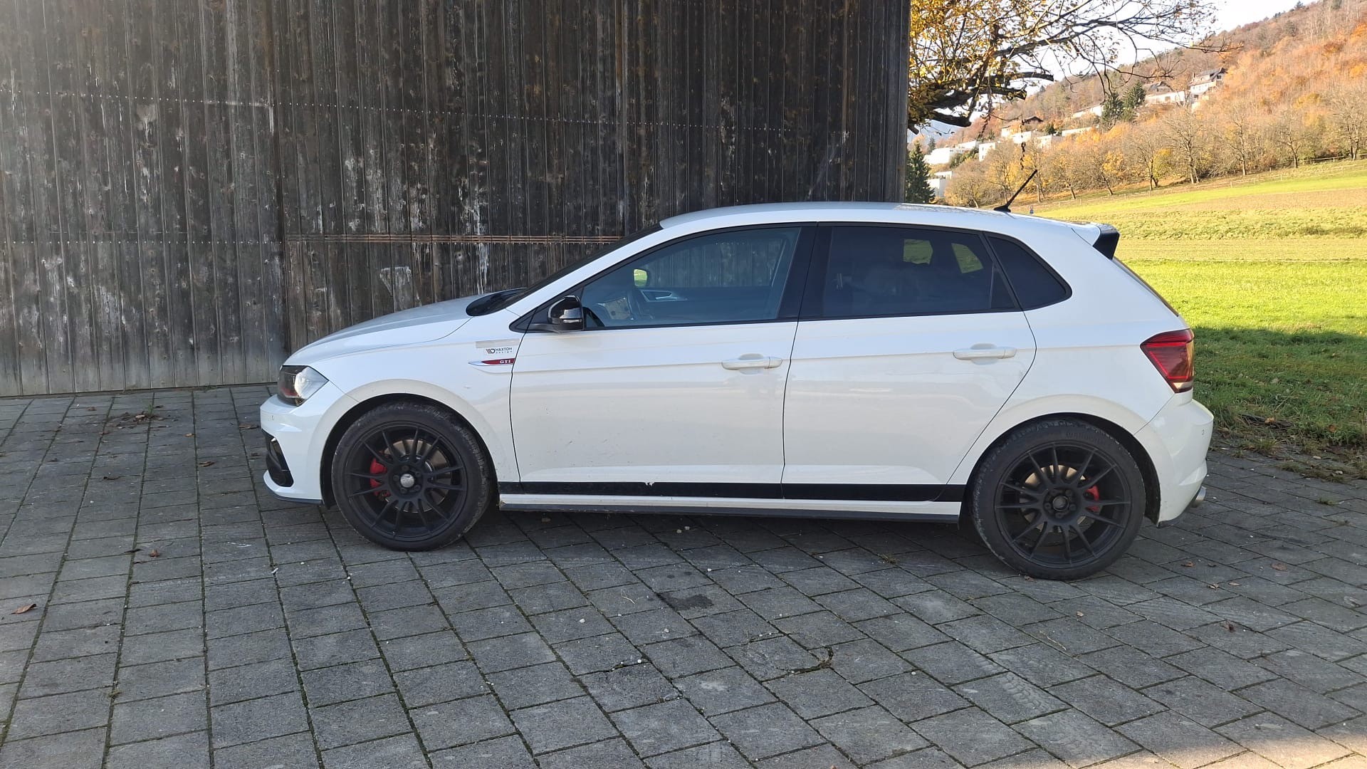 VW Polo 2.0 TSI GTI DSG-image-2