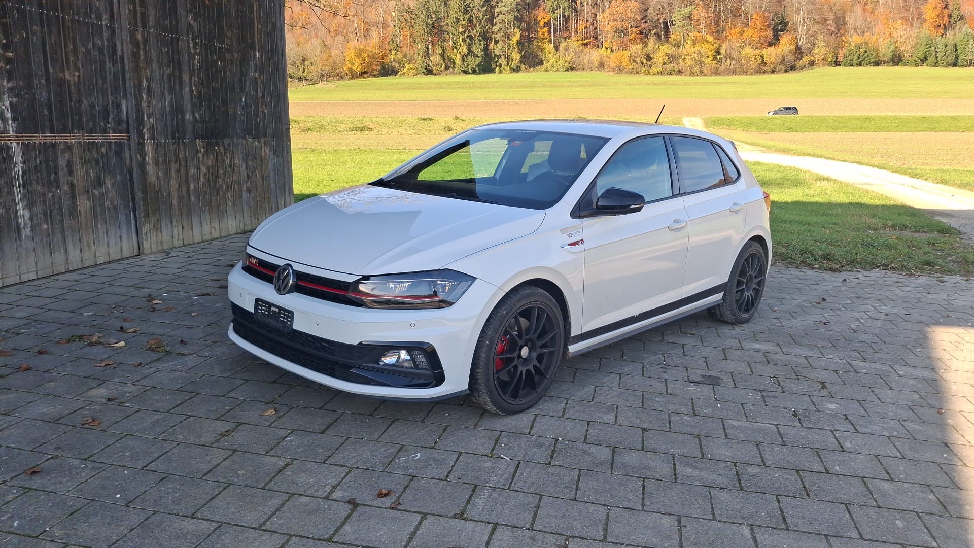 VW Polo 2.0 TSI GTI DSG-image-1