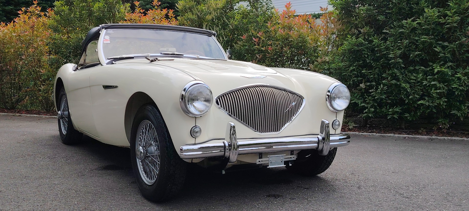 AUSTIN-HEALEY BN1 100/4 M-image-2