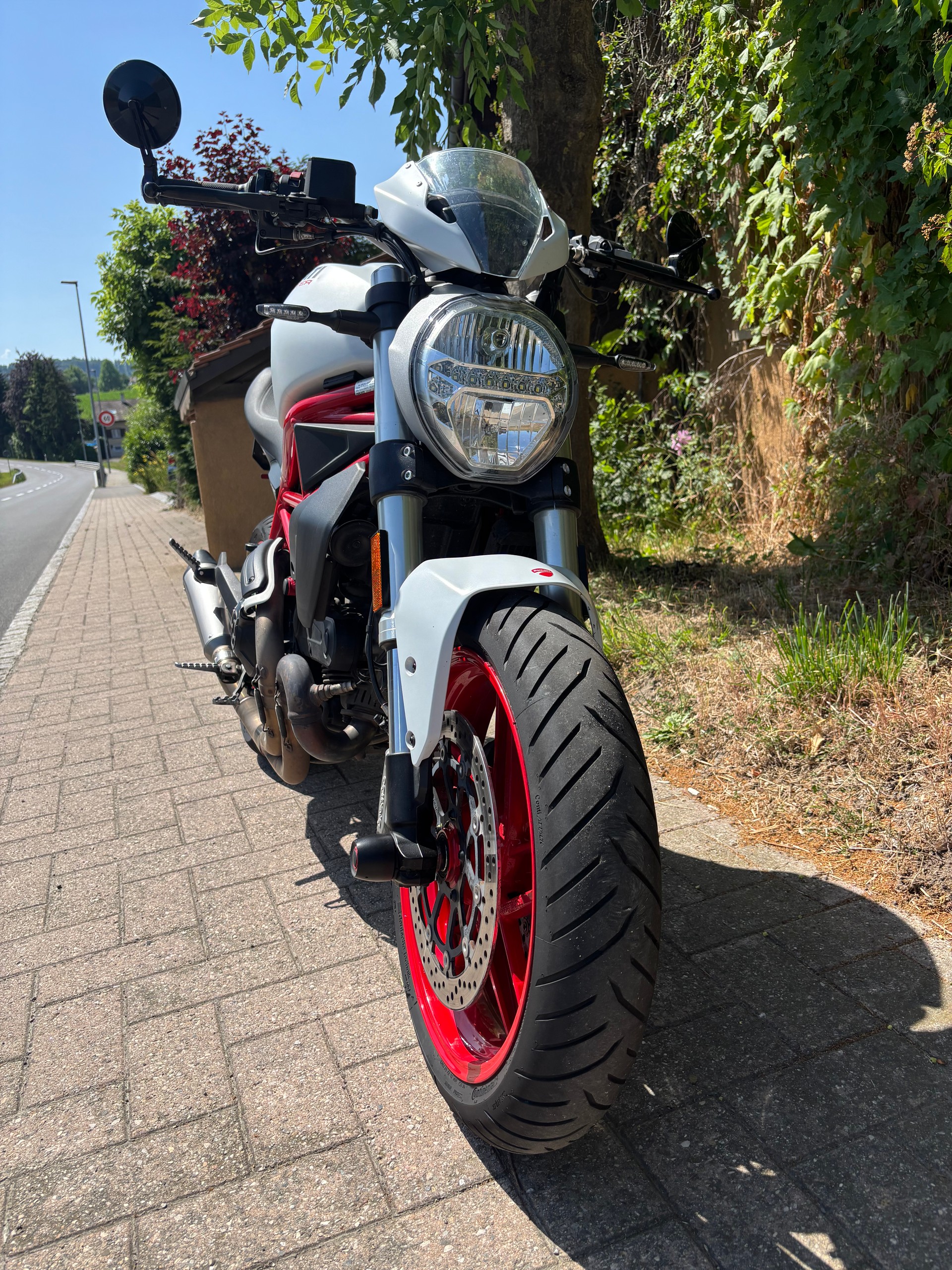 DUCATI Monster 797 (35KW)-image-2