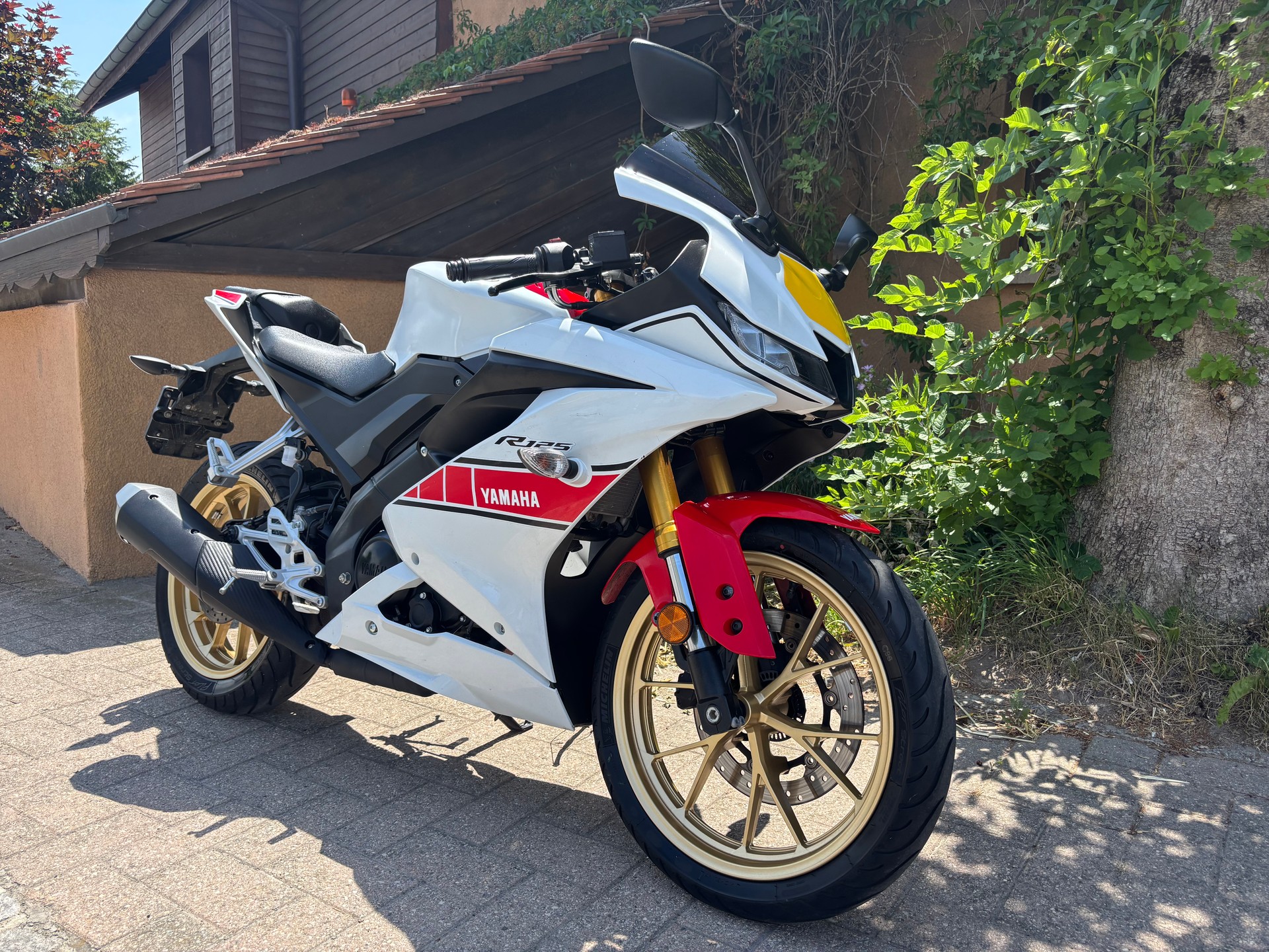 YAMAHA YZF-R 125 World GP 60th-image-1