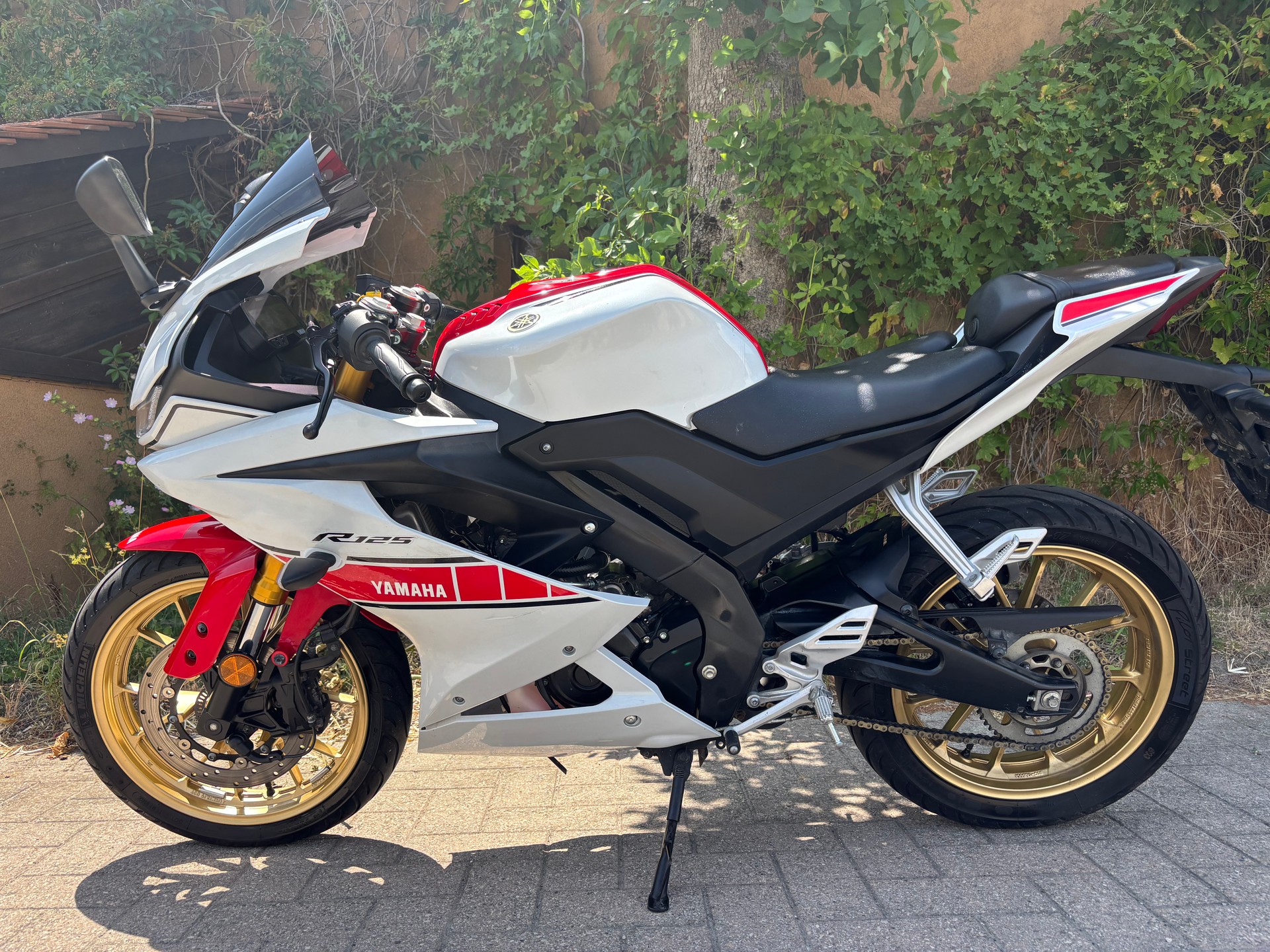 YAMAHA YZF-R 125 World GP 60th-image-4
