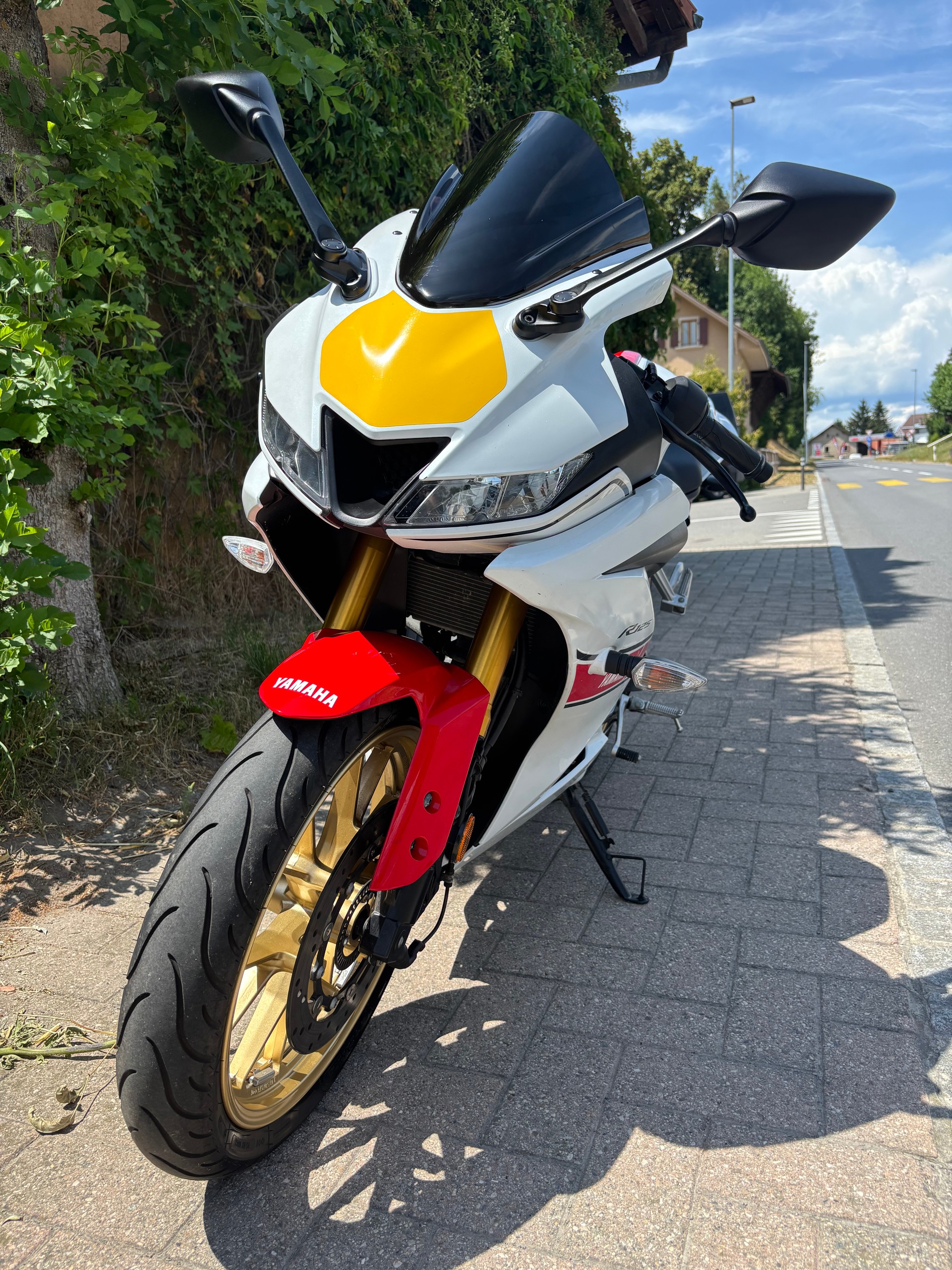 YAMAHA YZF-R 125 World GP 60th-image-3