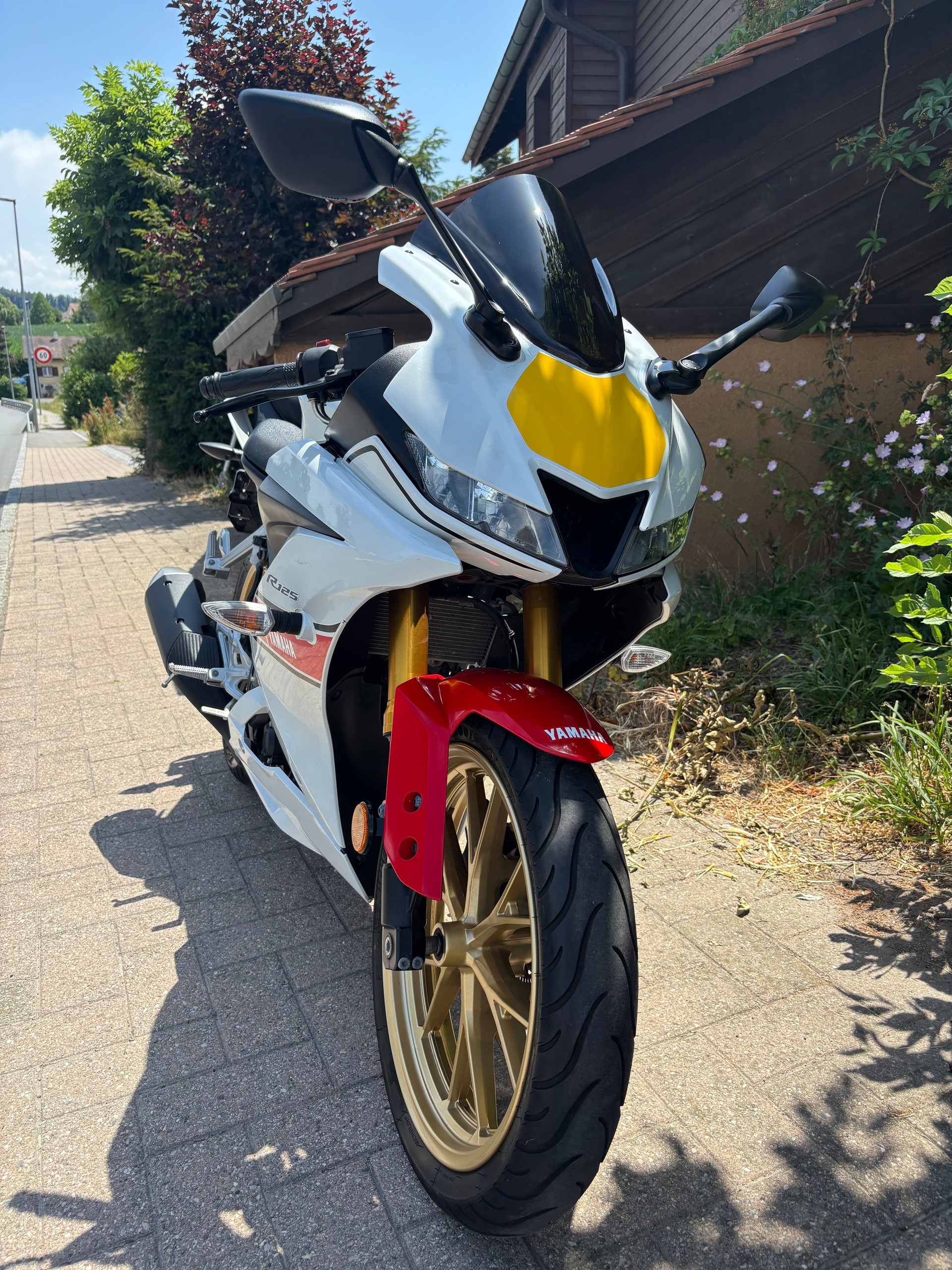 YAMAHA YZF-R 125 World GP 60th-image-2