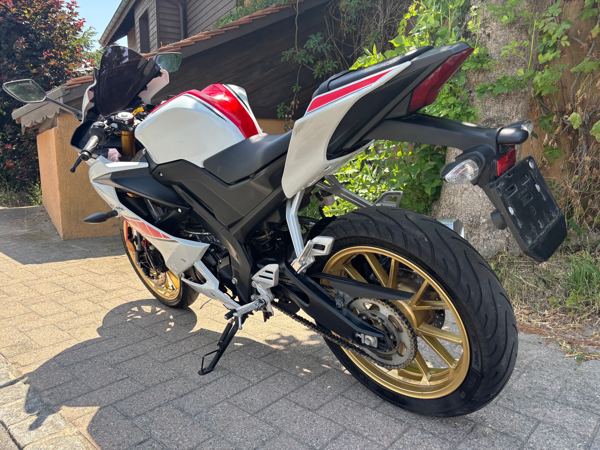 YAMAHA YZF-R 125 World GP 60th-image-5
