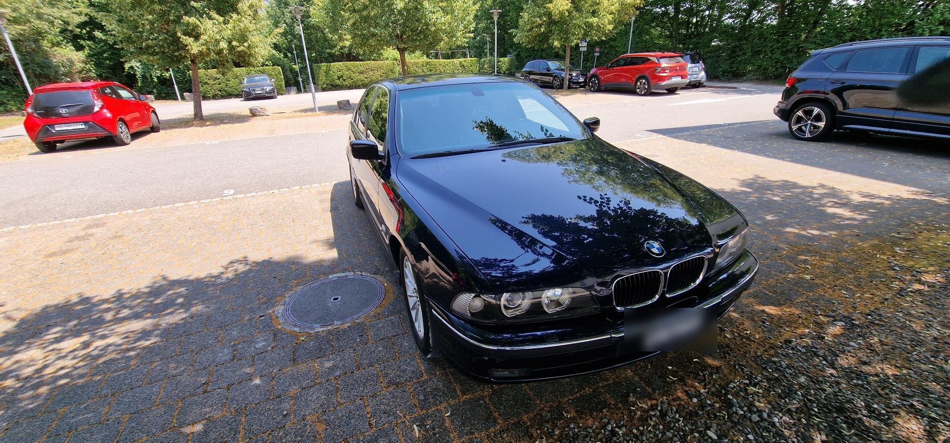 BMW e39 530d ABS dAiB-image-9
