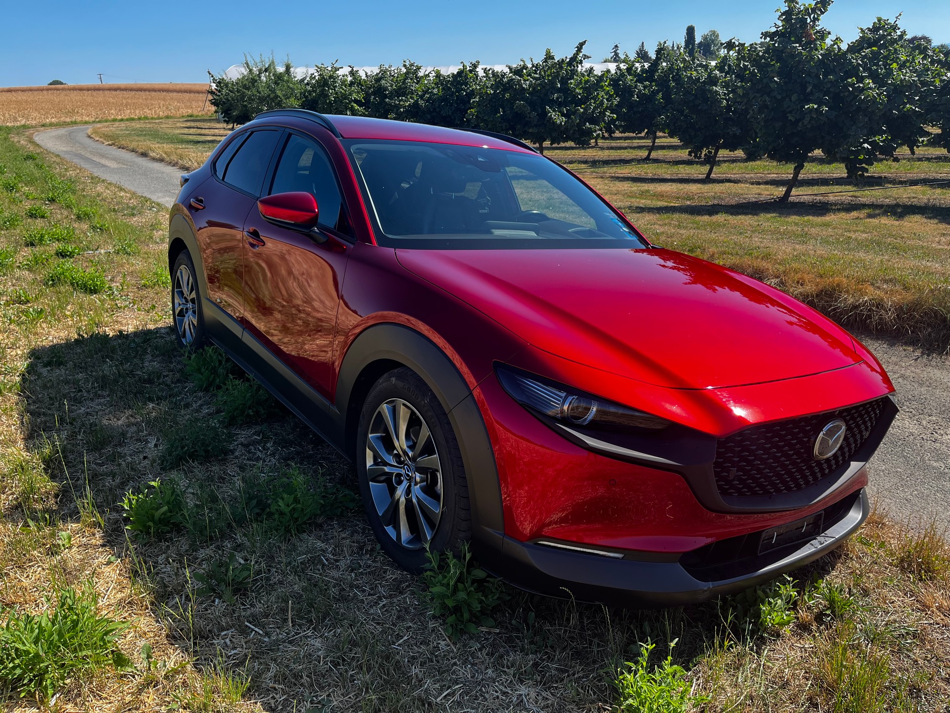 MAZDA 2.0 186 Revolution AWD
