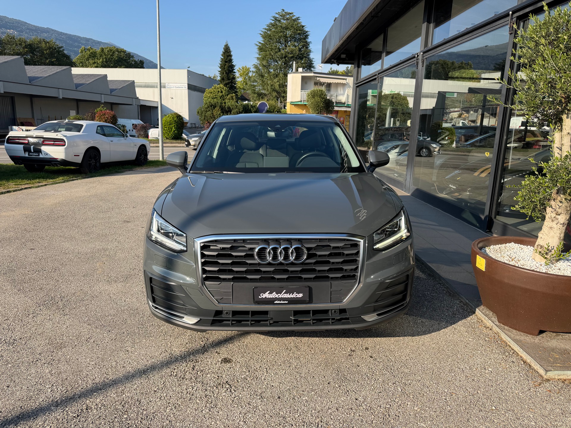 AUDI Q2 35 TFSI Sport S-tronic-showroom-element-1