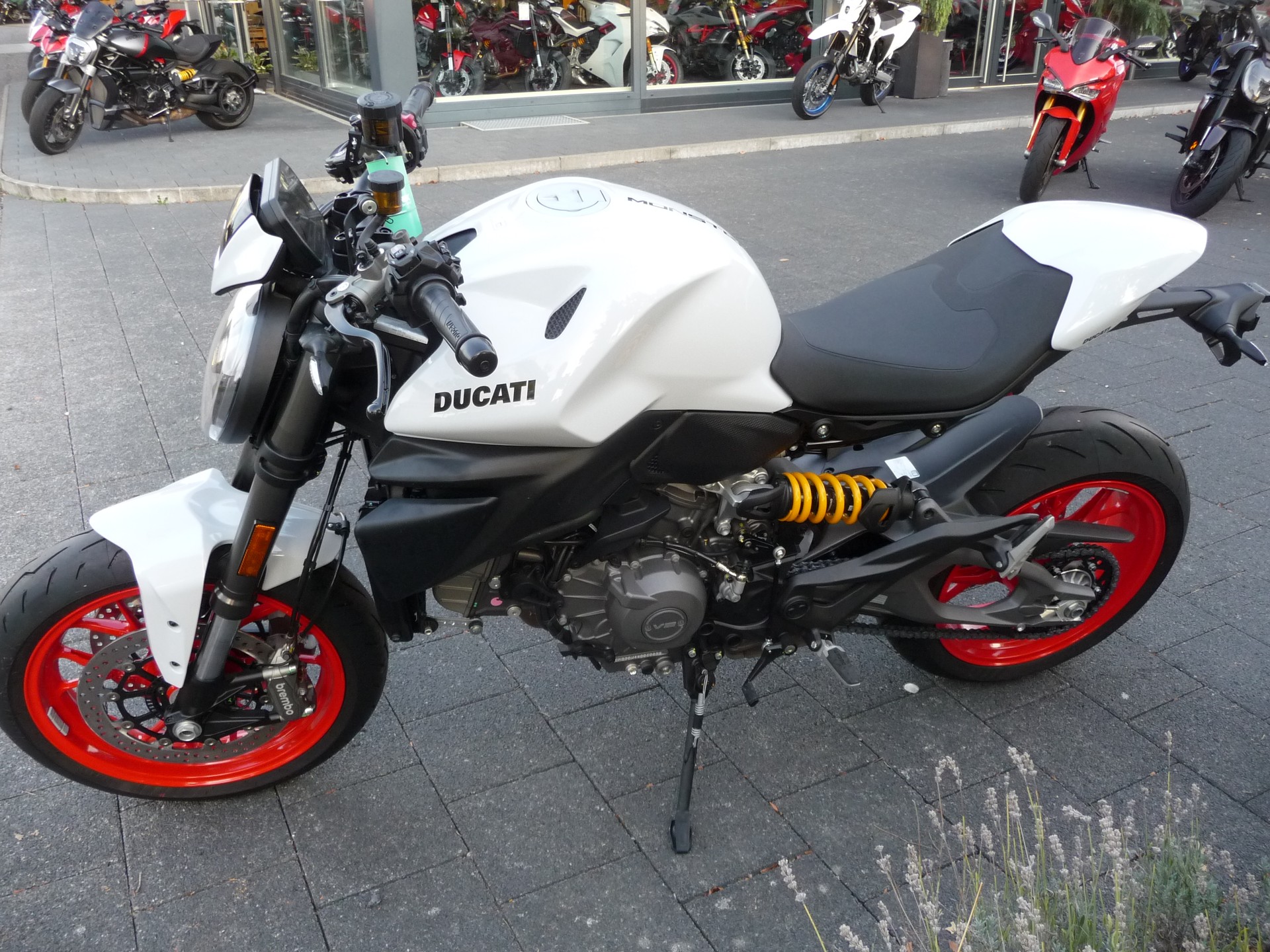 DUCATI MONSTER 890-image-6