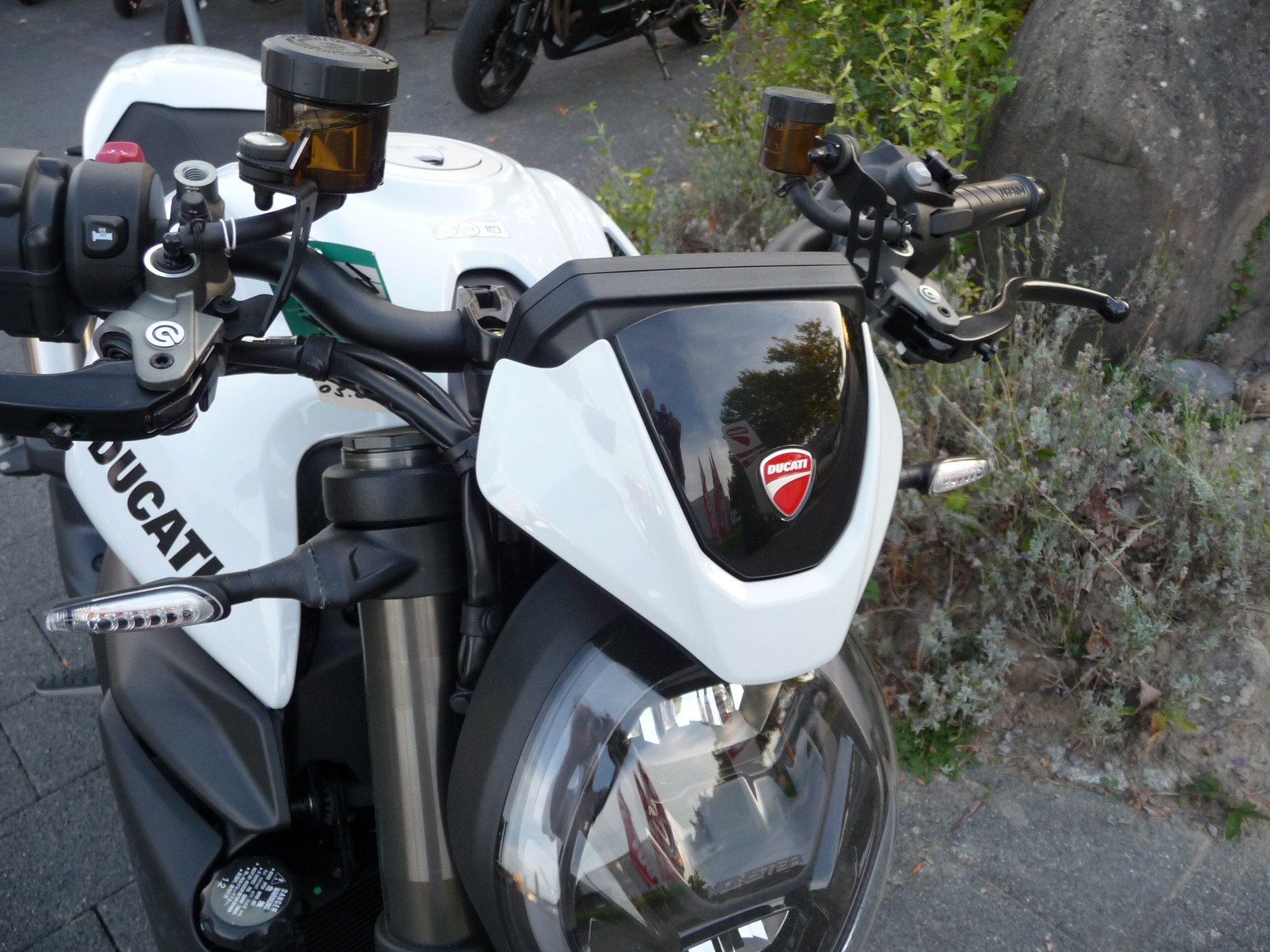 DUCATI MONSTER 890-image-4