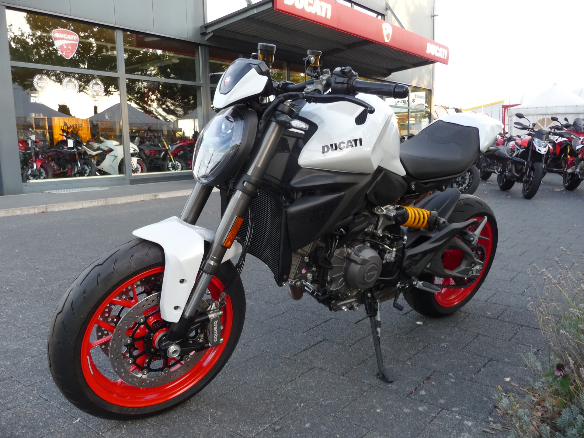 DUCATI MONSTER 890-image-5