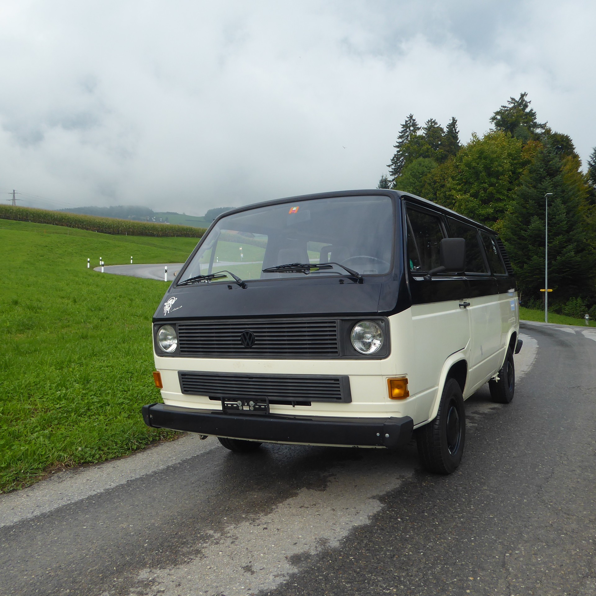 VW T3