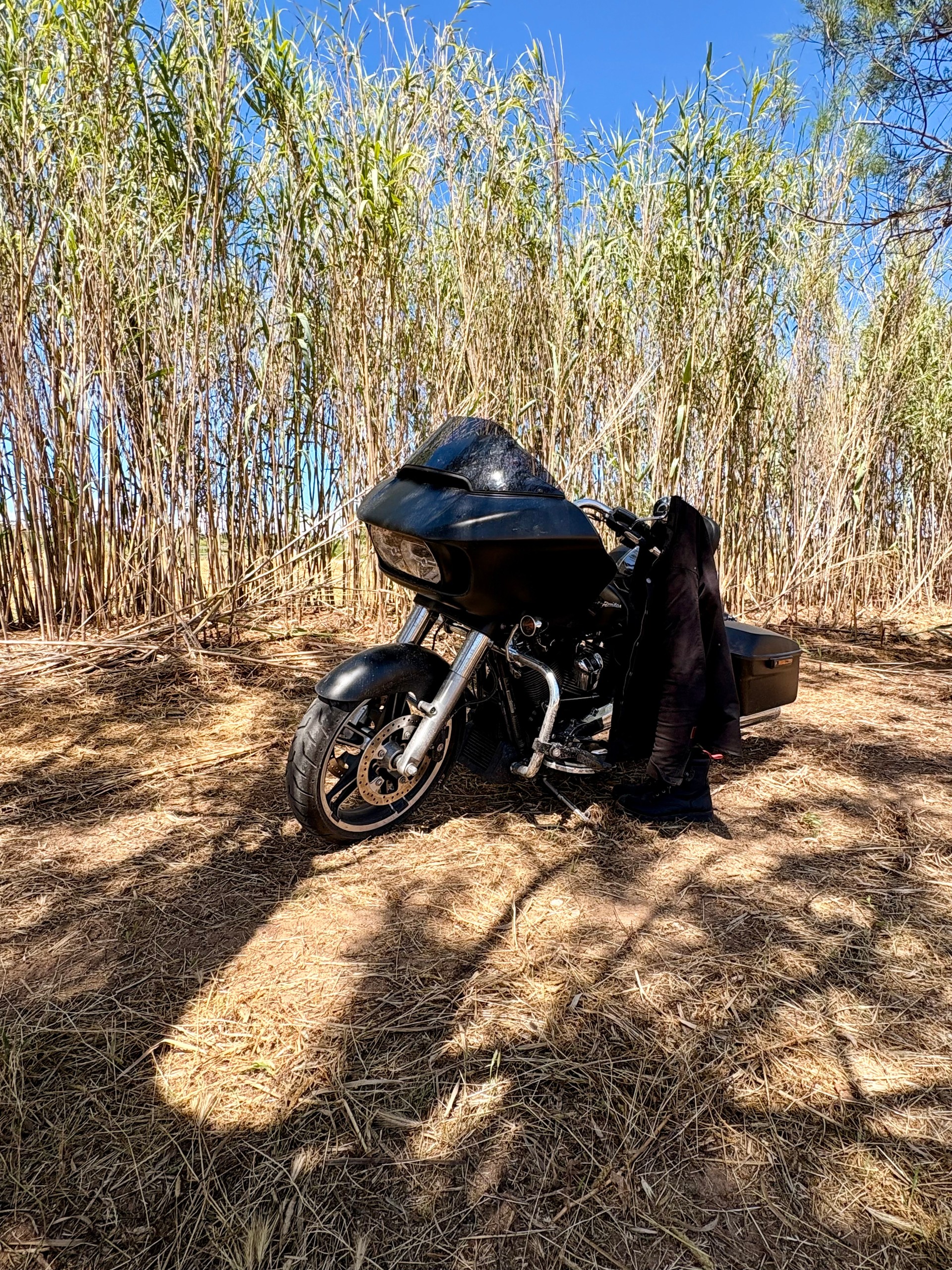 HARLEY-DAVIDSON FLTRXS ROAD GLIDE SPECIAL - Milwaukee-Eight 107-image-8