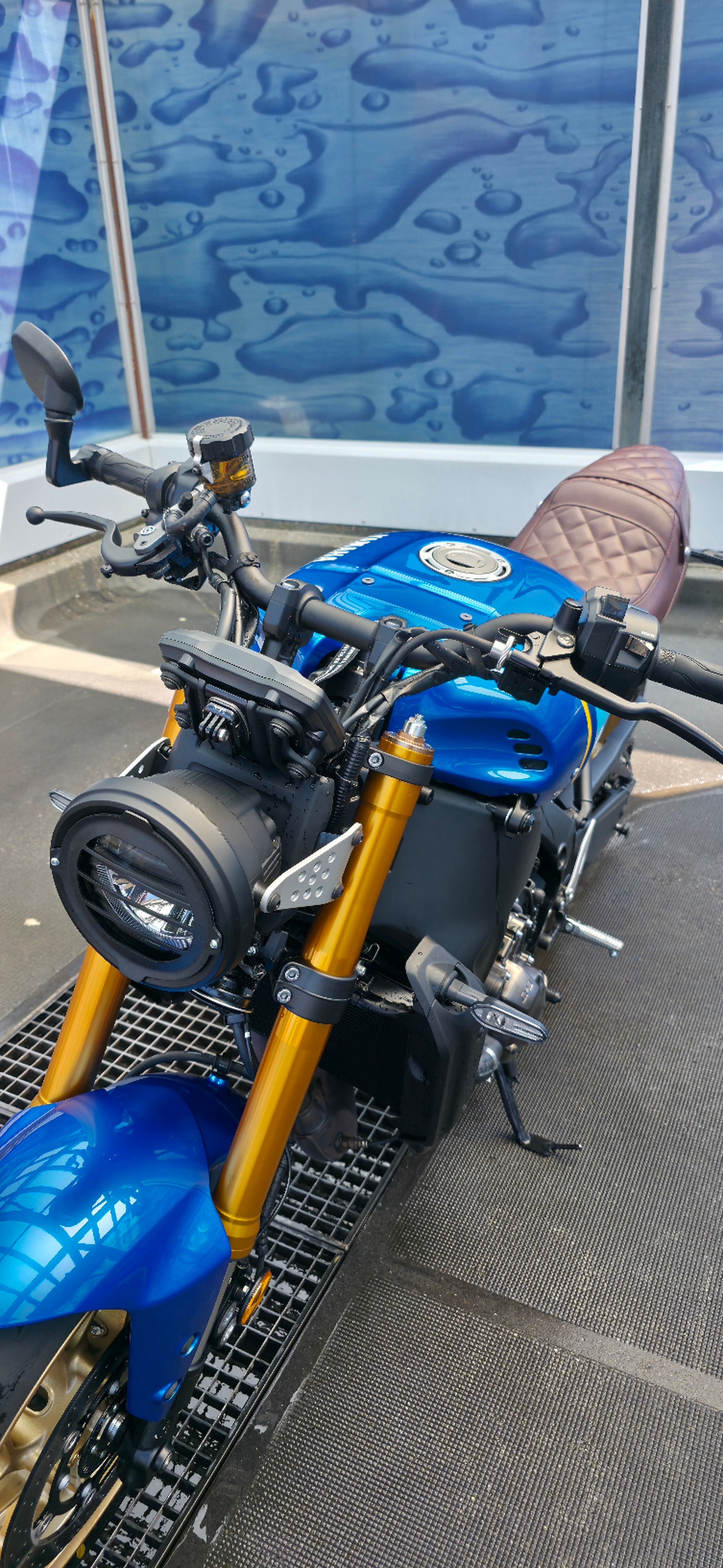 YAMAHA XSR 900-image-2
