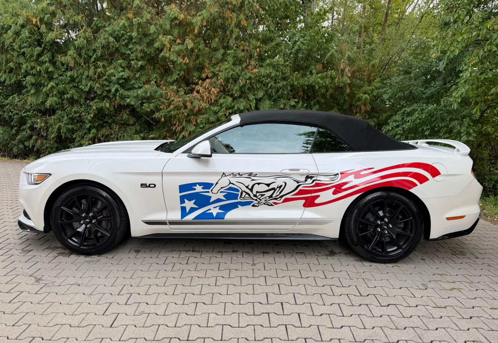 FORD Mustang Convertible 5.0 V8 GT Automat-showroom-element-2