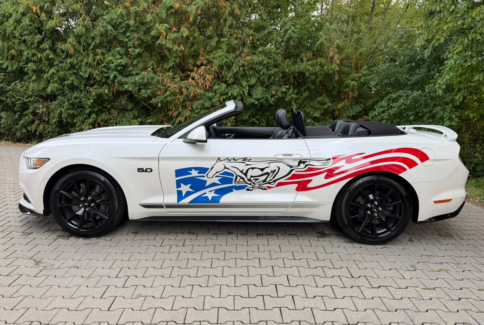 FORD Mustang Convertible 5.0 V8 GT Automat-showroom-element-3