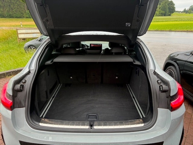 BMW X4 xDrive 48V 30d M Sport Steptronic-image-6