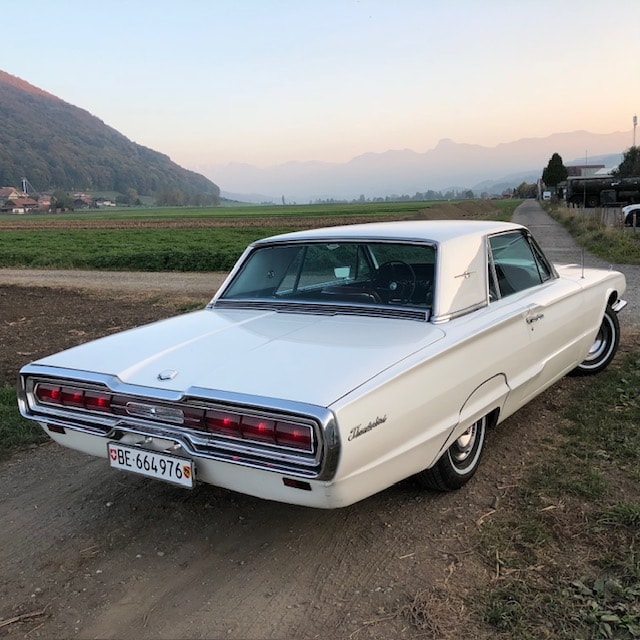 FORD Thunderbird-image-2