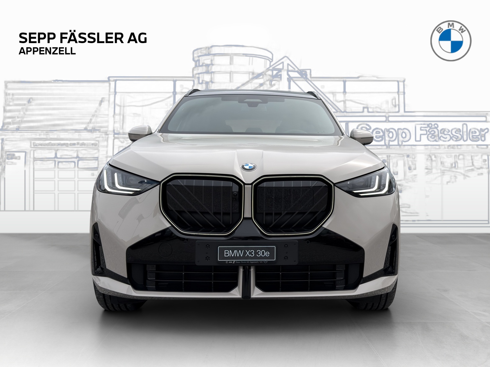 BMW X3 xDrive 30e M Sport Pro-image-7