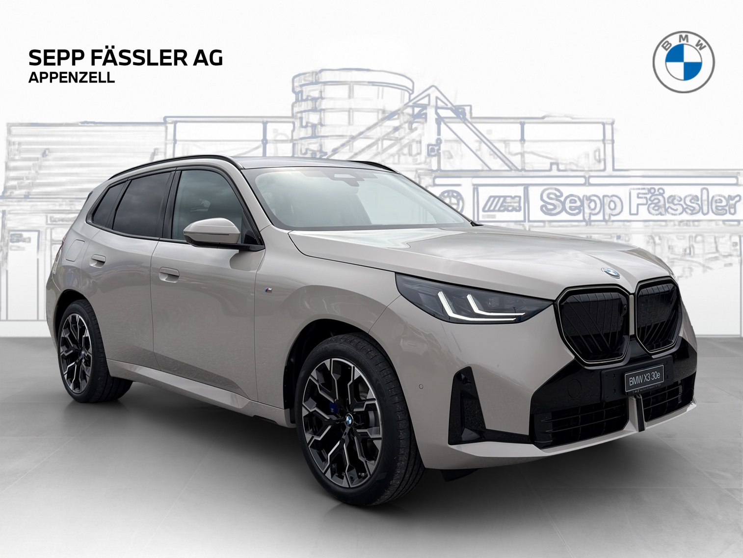 BMW X3 xDrive 30e M Sport Pro-image-6