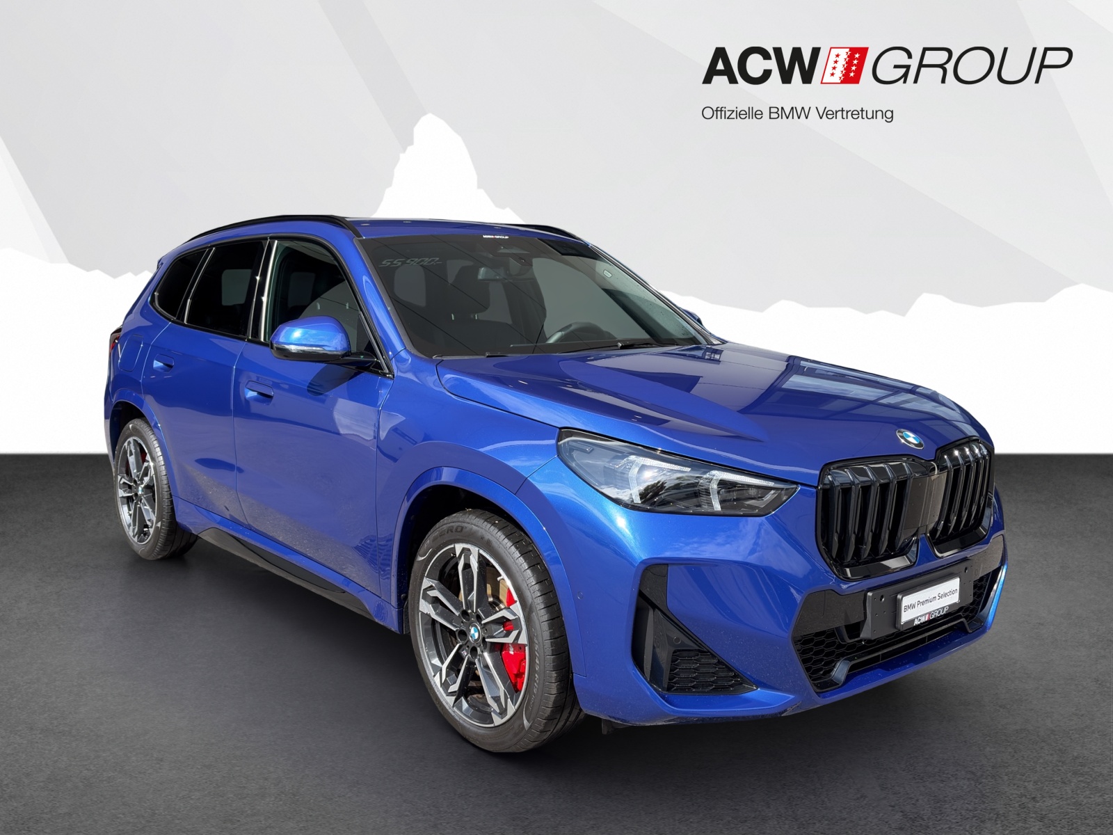 BMW X1 23i xDrive-image-6