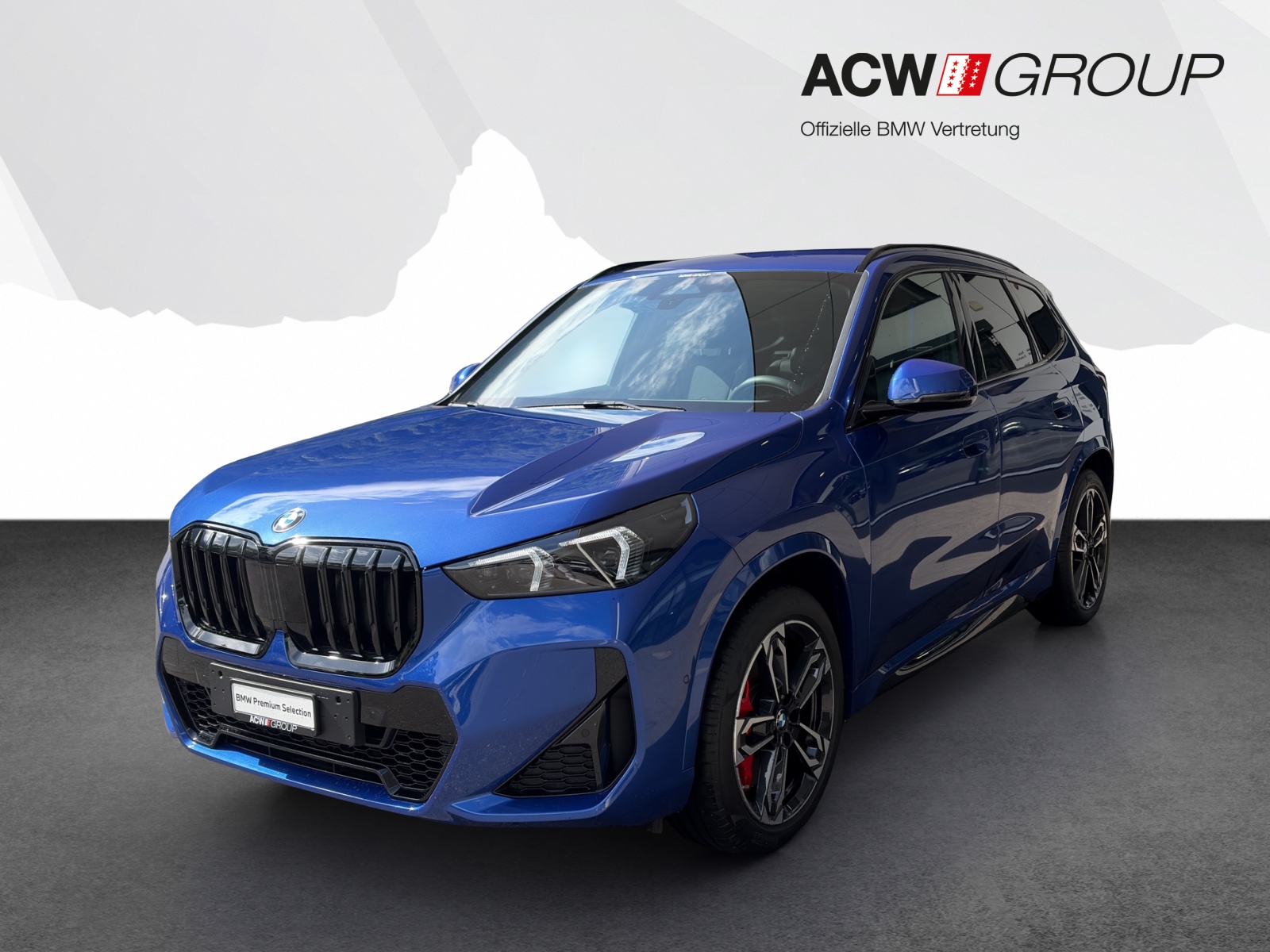 BMW X1 23i xDrive