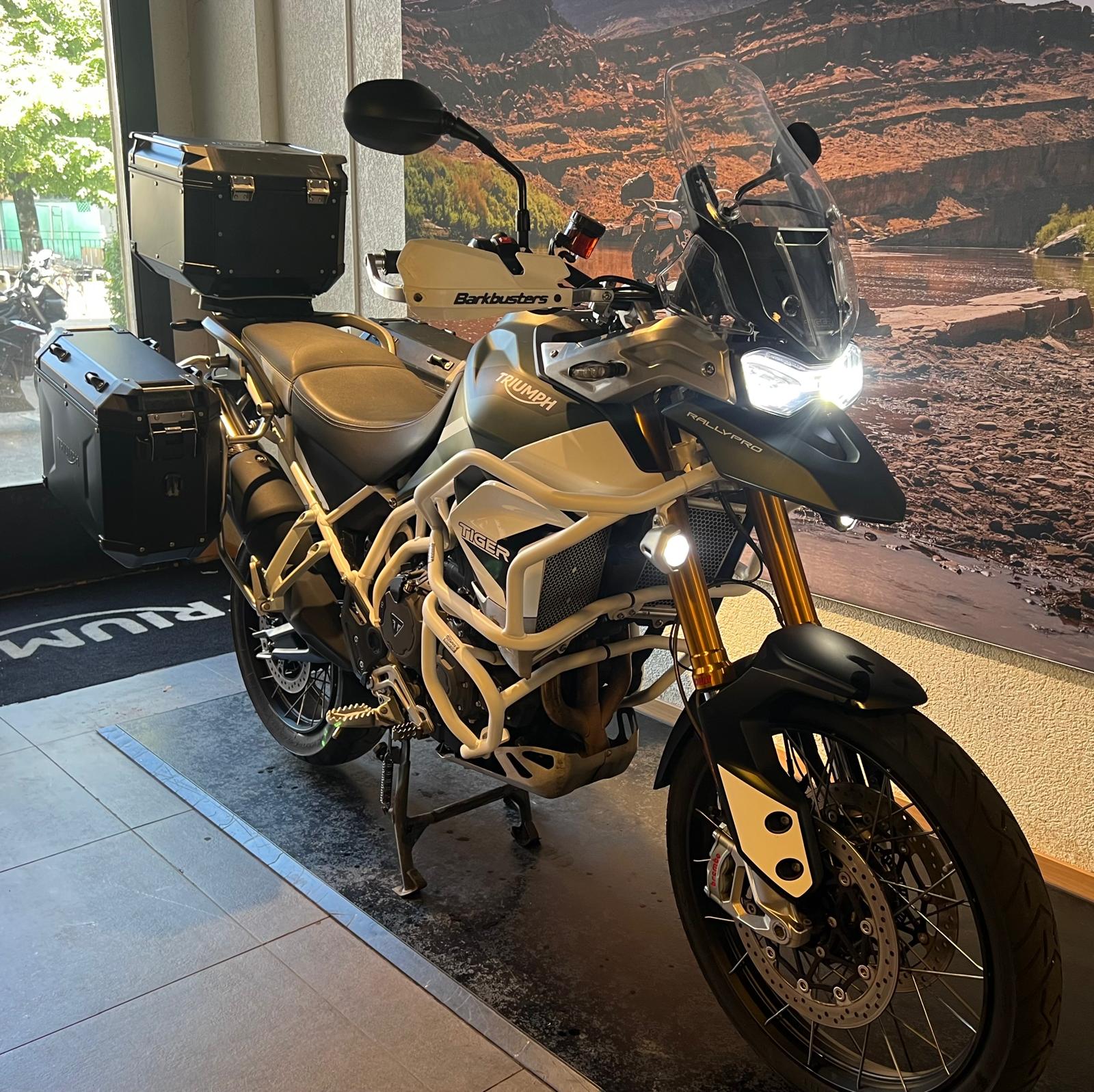 TRIUMPH Tiger 900 Rally Pro-image-1