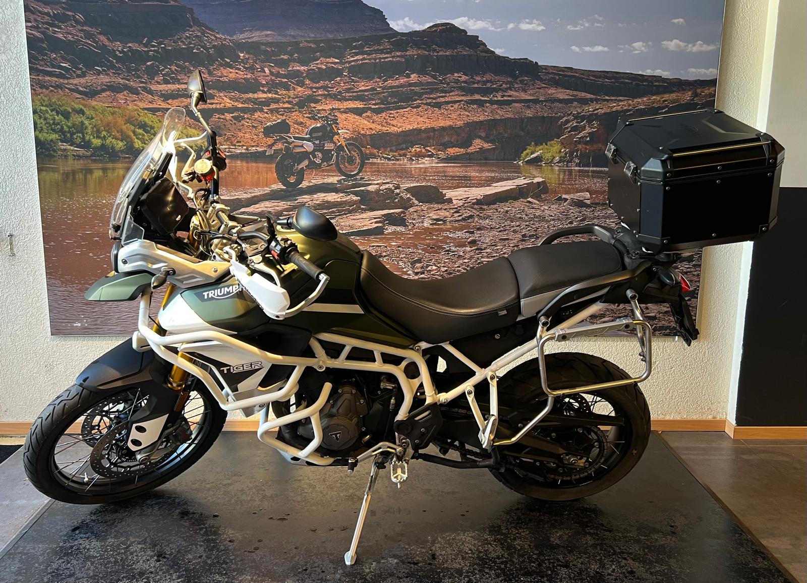 TRIUMPH Tiger 900 Rally Pro-image-3