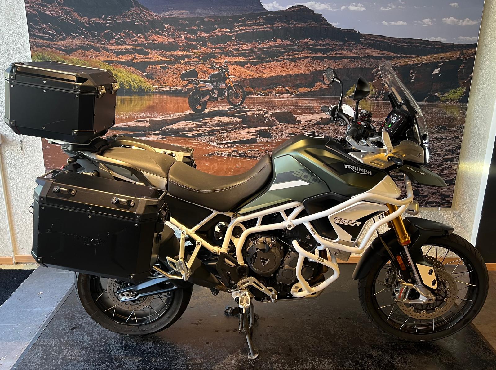 TRIUMPH Tiger 900 Rally Pro-image-0
